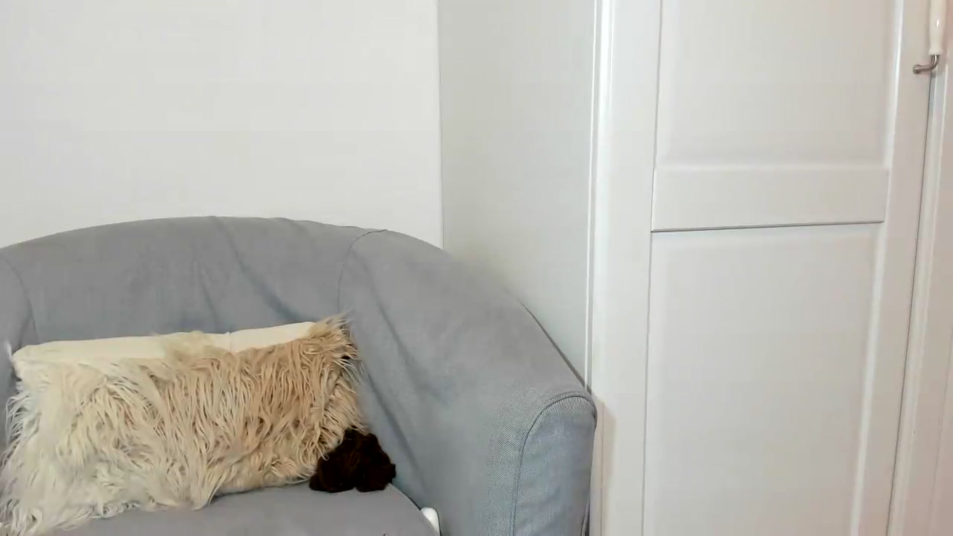 Gallery image thumbnail from Cassiehottt's myfreecams stream on, 08/01/2026, 13:25 image 14 of 20