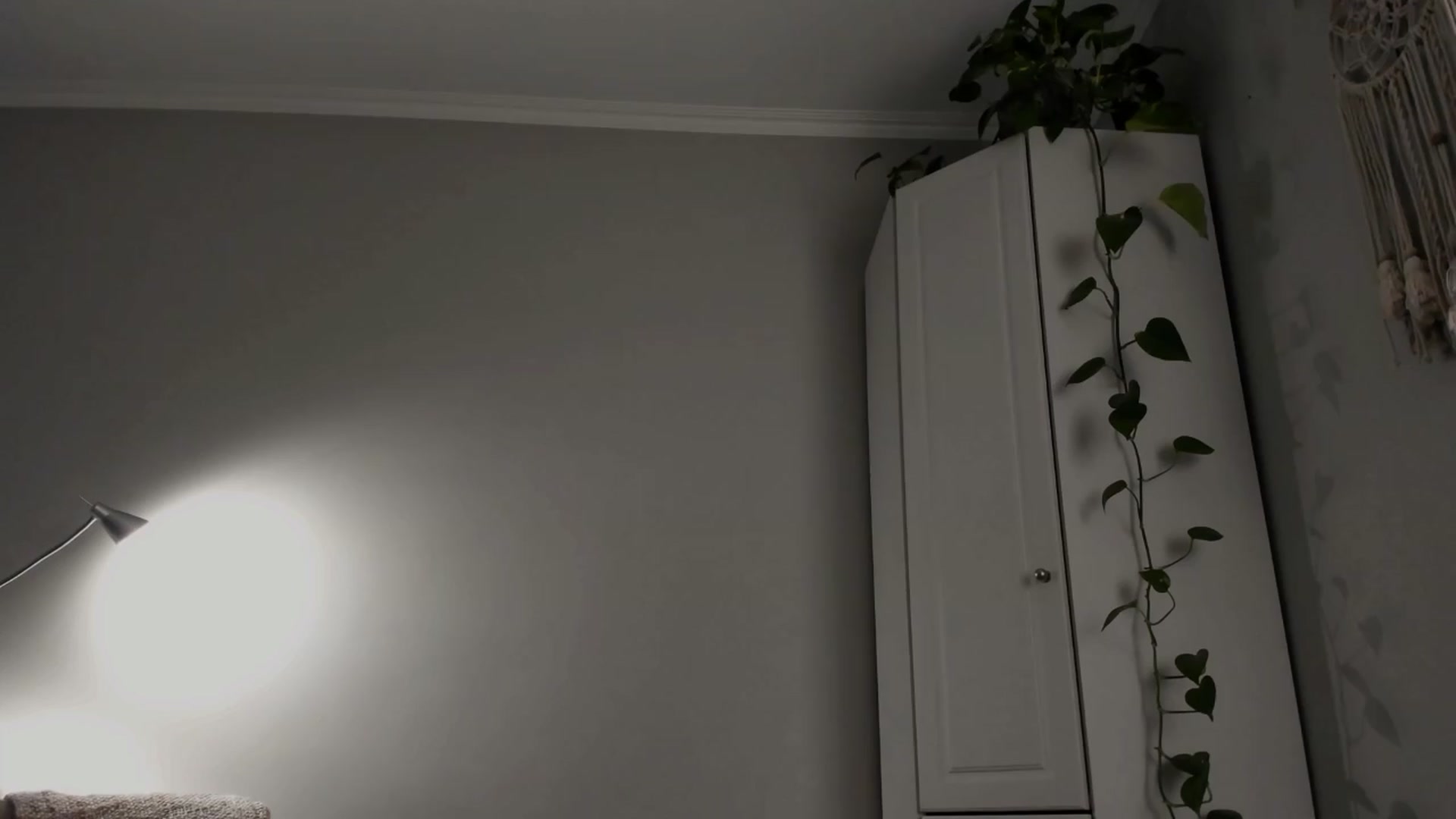 Gallery image thumbnail from CassislanD's myfreecams stream on, 03/27/2024, 14:27 image 7 of 20