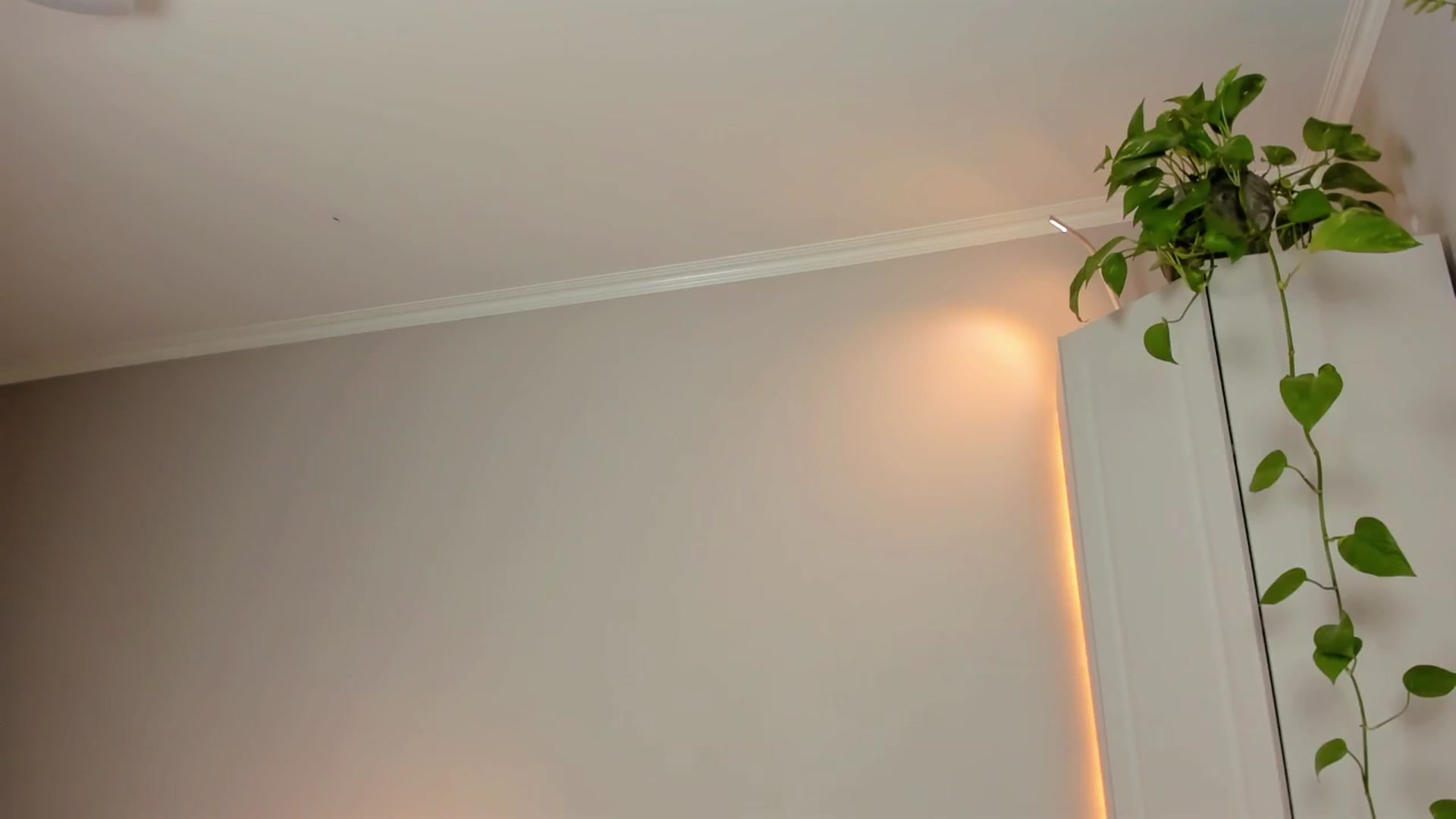 Gallery image thumbnail from CassislanD's myfreecams stream on, 05/30/2024, 12:44 image 15 of 20