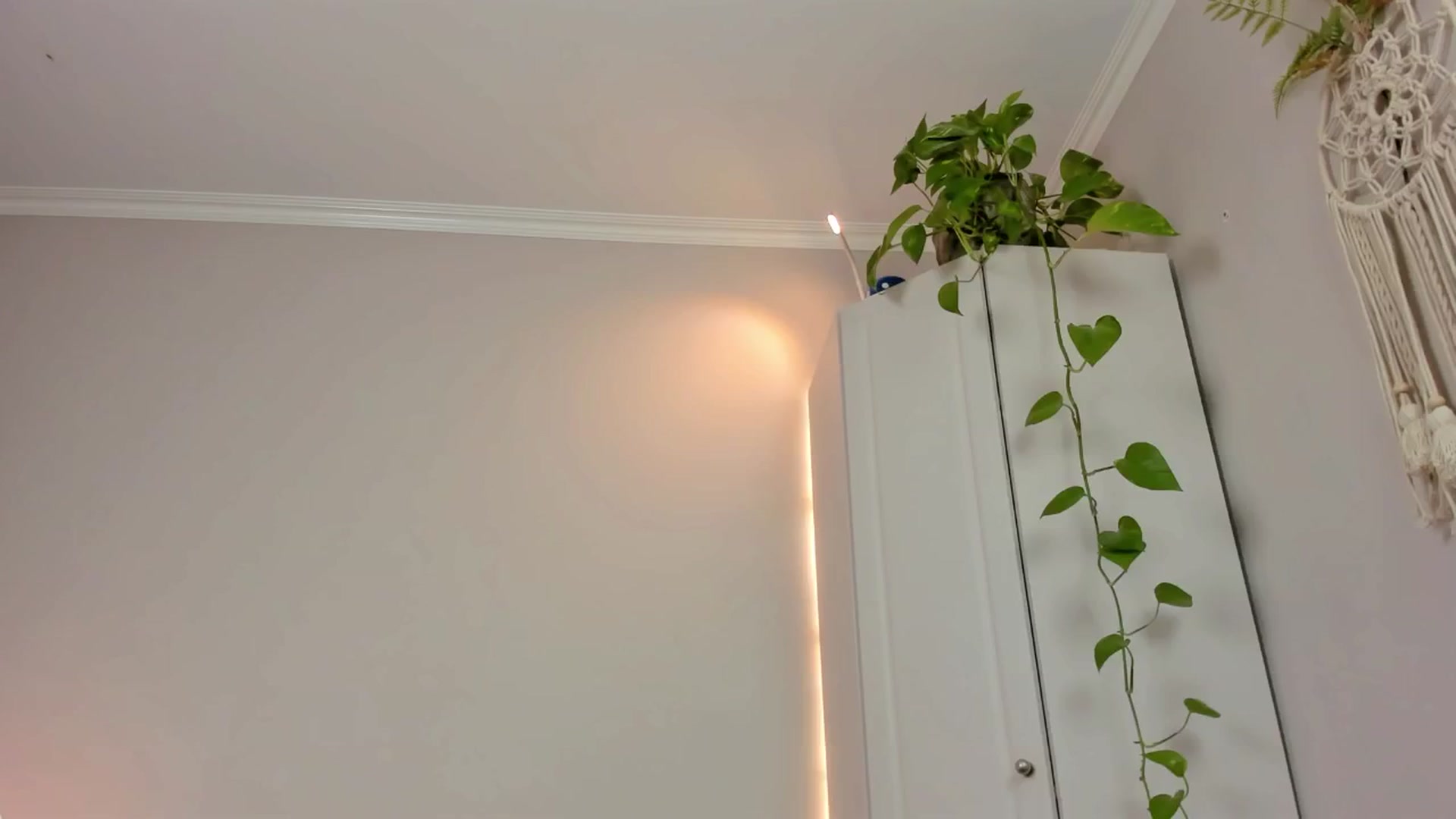 Gallery image thumbnail from CassislanD's myfreecams stream on, 06/12/2024, 18:43 image 15 of 20