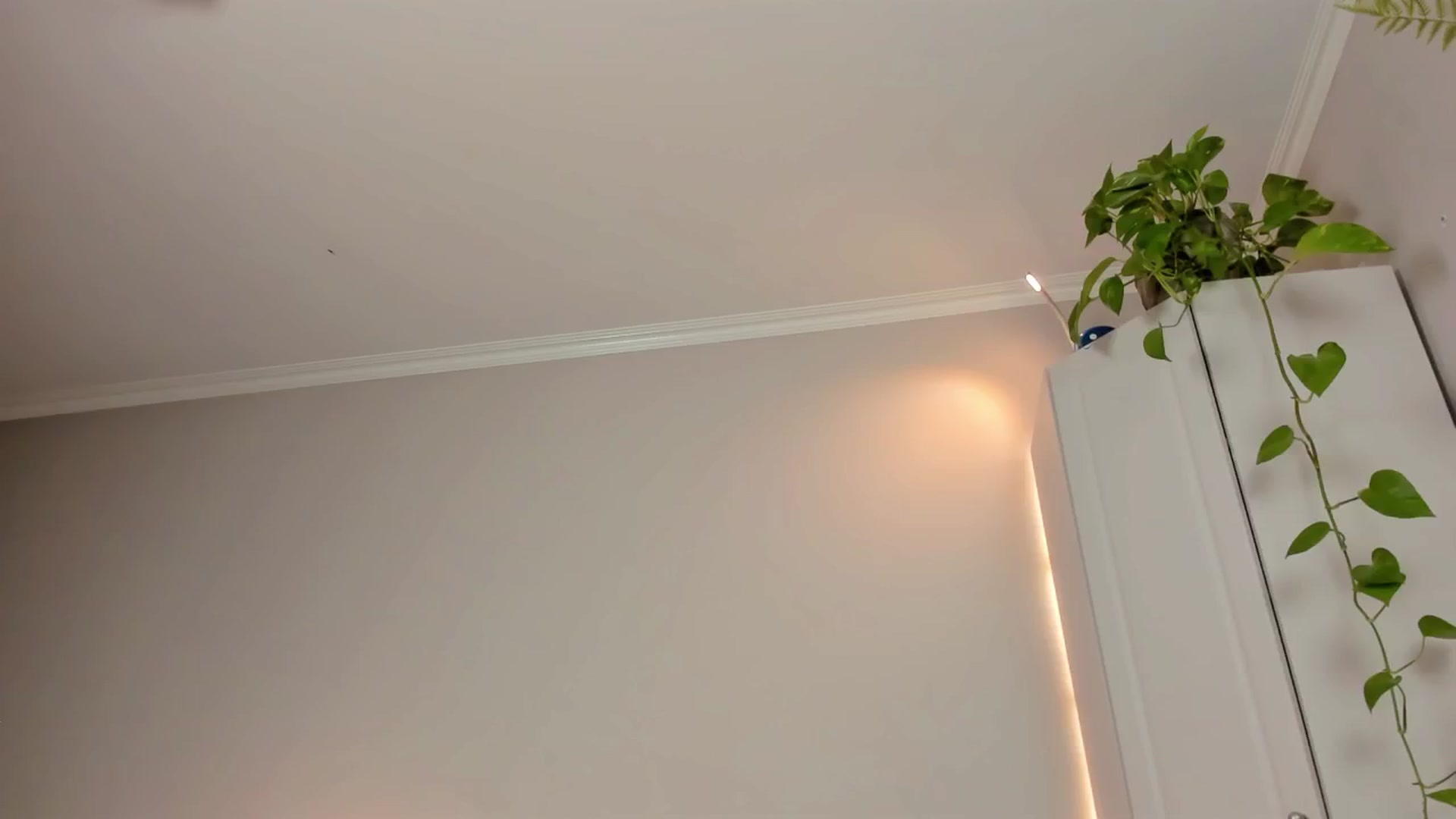 Gallery image thumbnail from CassislanD's myfreecams stream on, 06/13/2024, 15:27 image 13 of 20