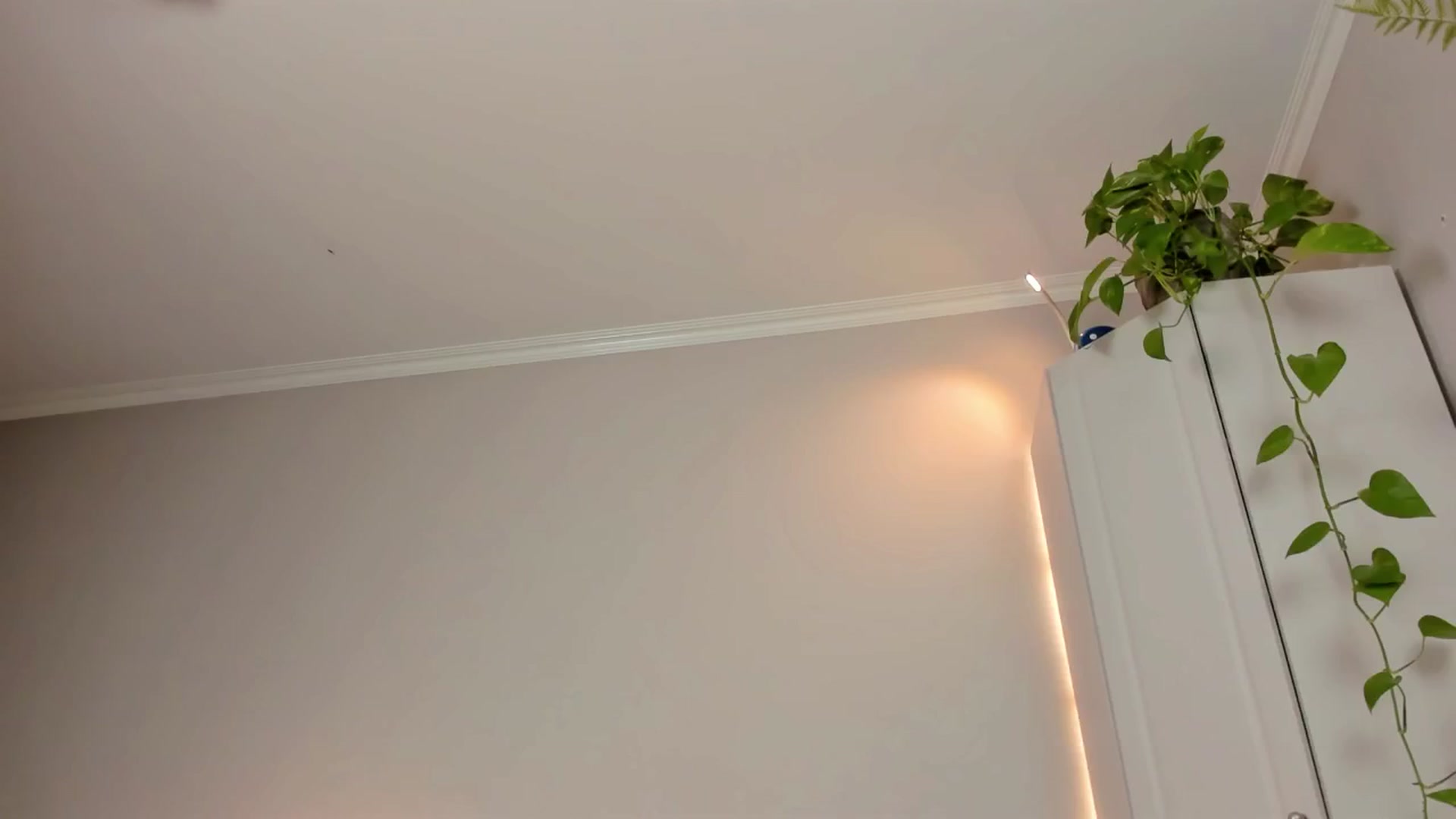 Gallery image thumbnail from CassislanD's myfreecams stream on, 06/13/2024, 15:27 image 11 of 20