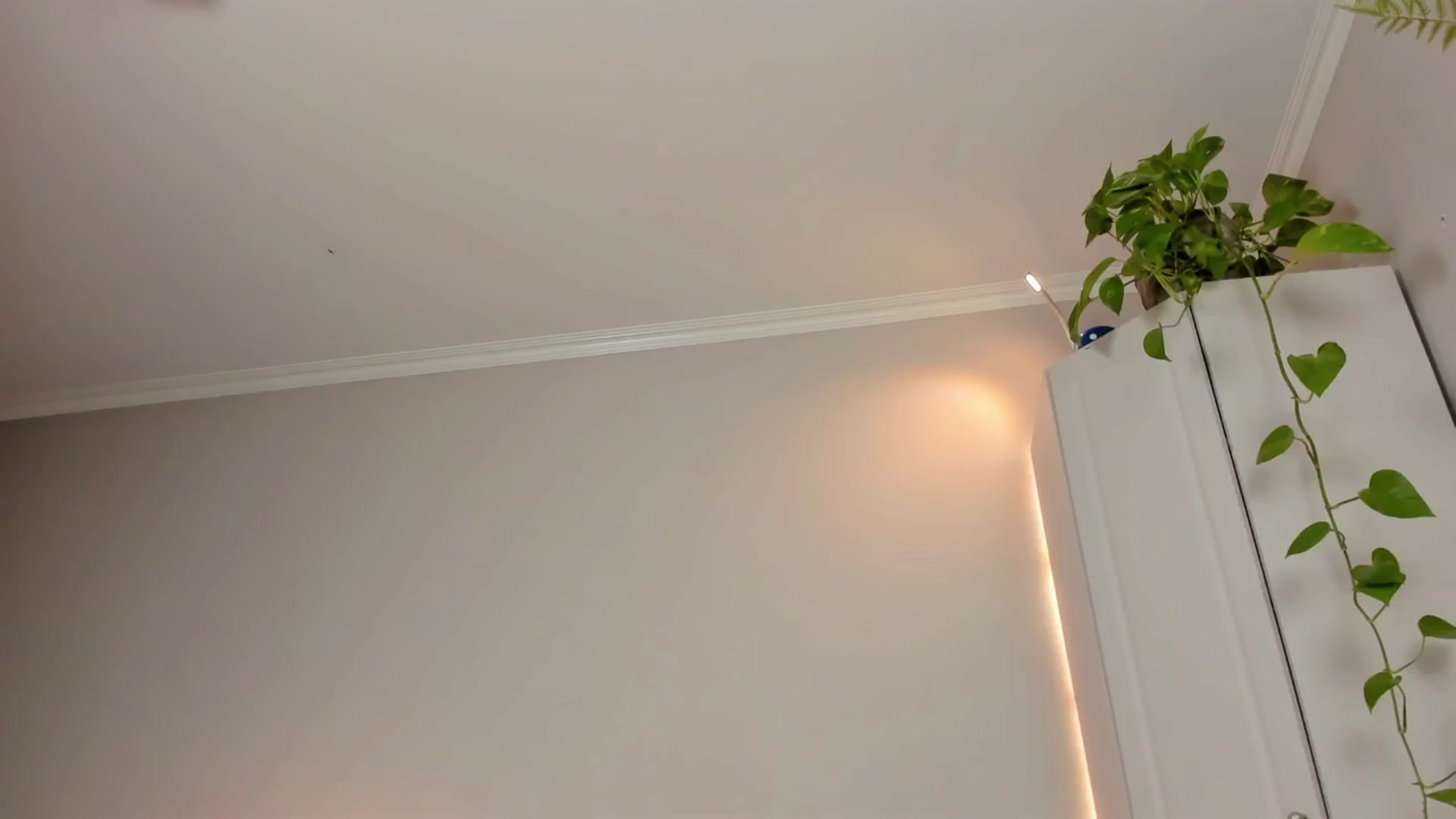 Gallery image thumbnail from CassislanD's myfreecams stream on, 06/13/2024, 15:27 image 12 of 20