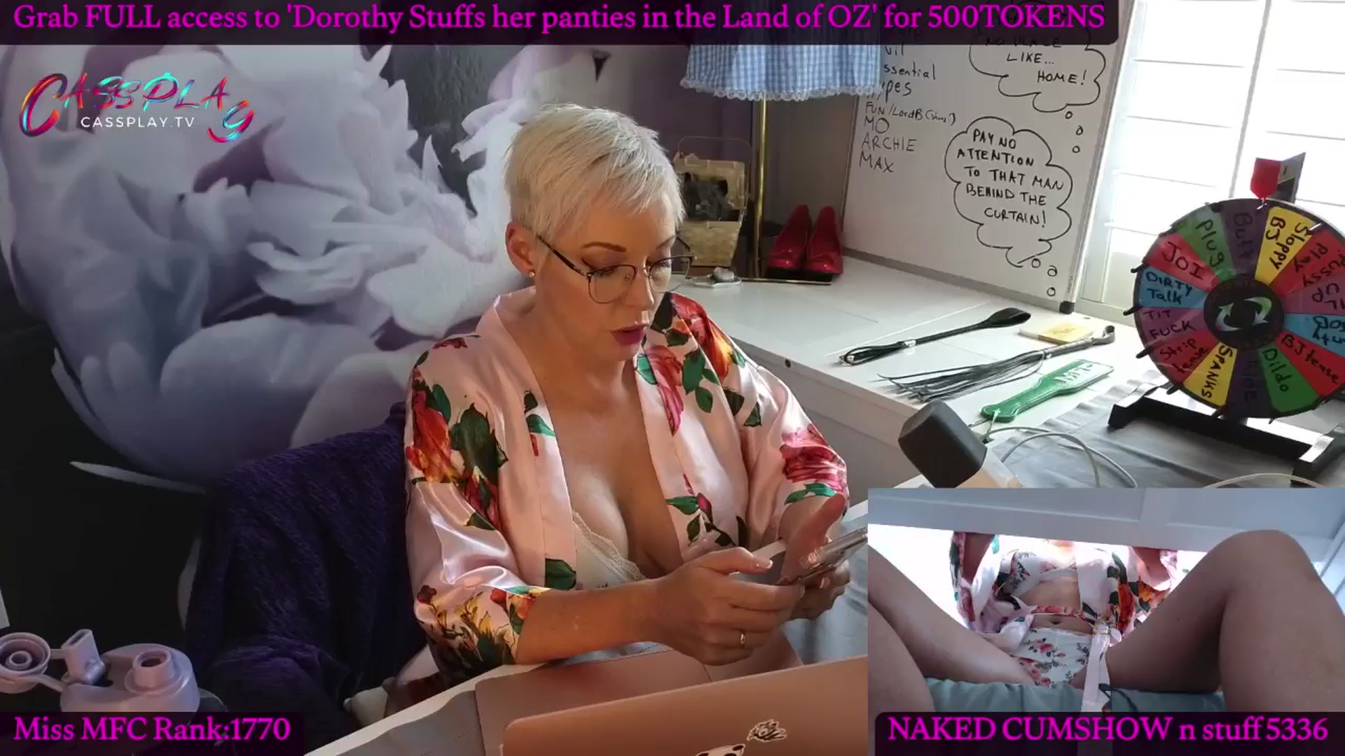 Gallery image thumbnail from Cassplay's myfreecams stream on, 05/02/2024, 20:36 image 20 of 20