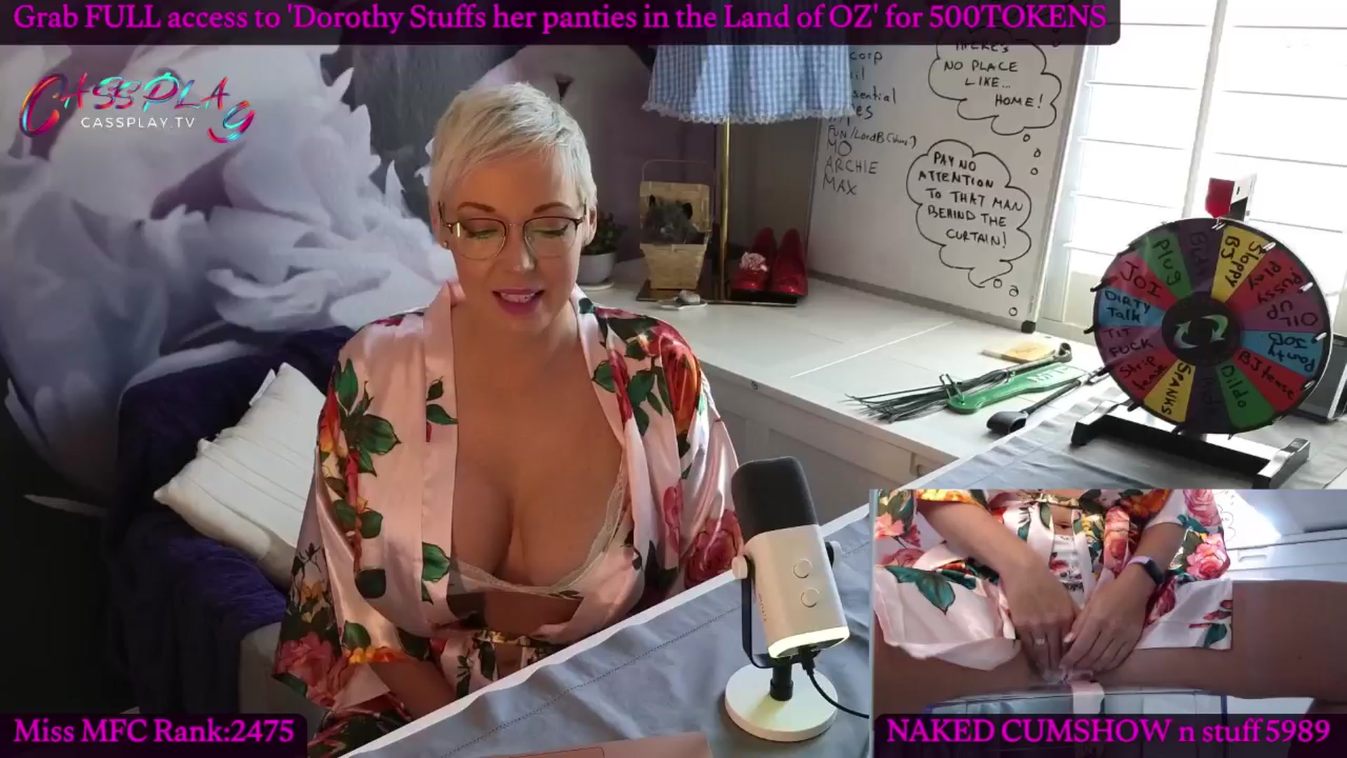 Gallery image thumbnail from Cassplay's myfreecams stream on, 05/02/2024, 20:36 image 3 of 20