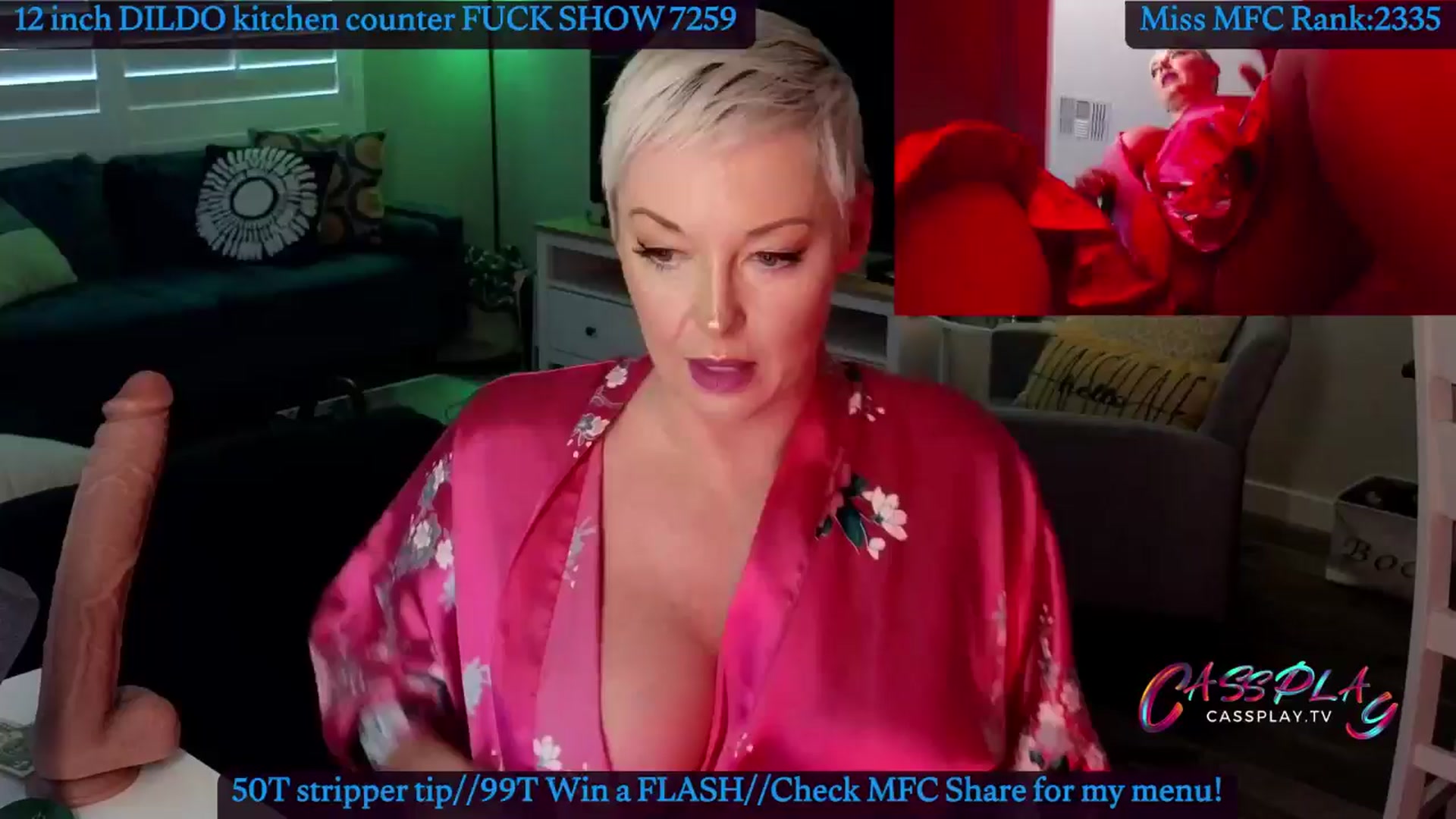 Gallery image thumbnail from Cassplay's myfreecams stream on, 05/25/2024, 20:20 image 16 of 20