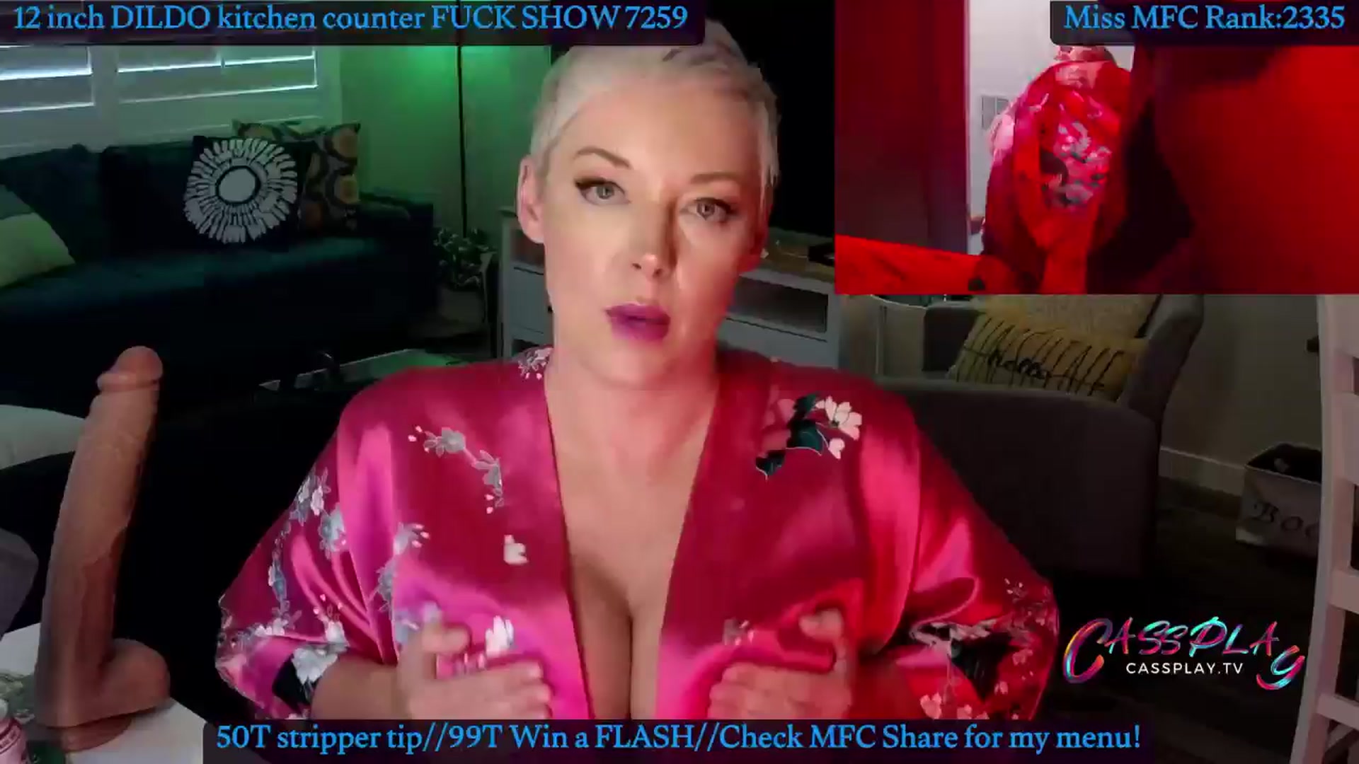 Gallery image thumbnail from Cassplay's myfreecams stream on, 05/25/2024, 20:20 image 17 of 20