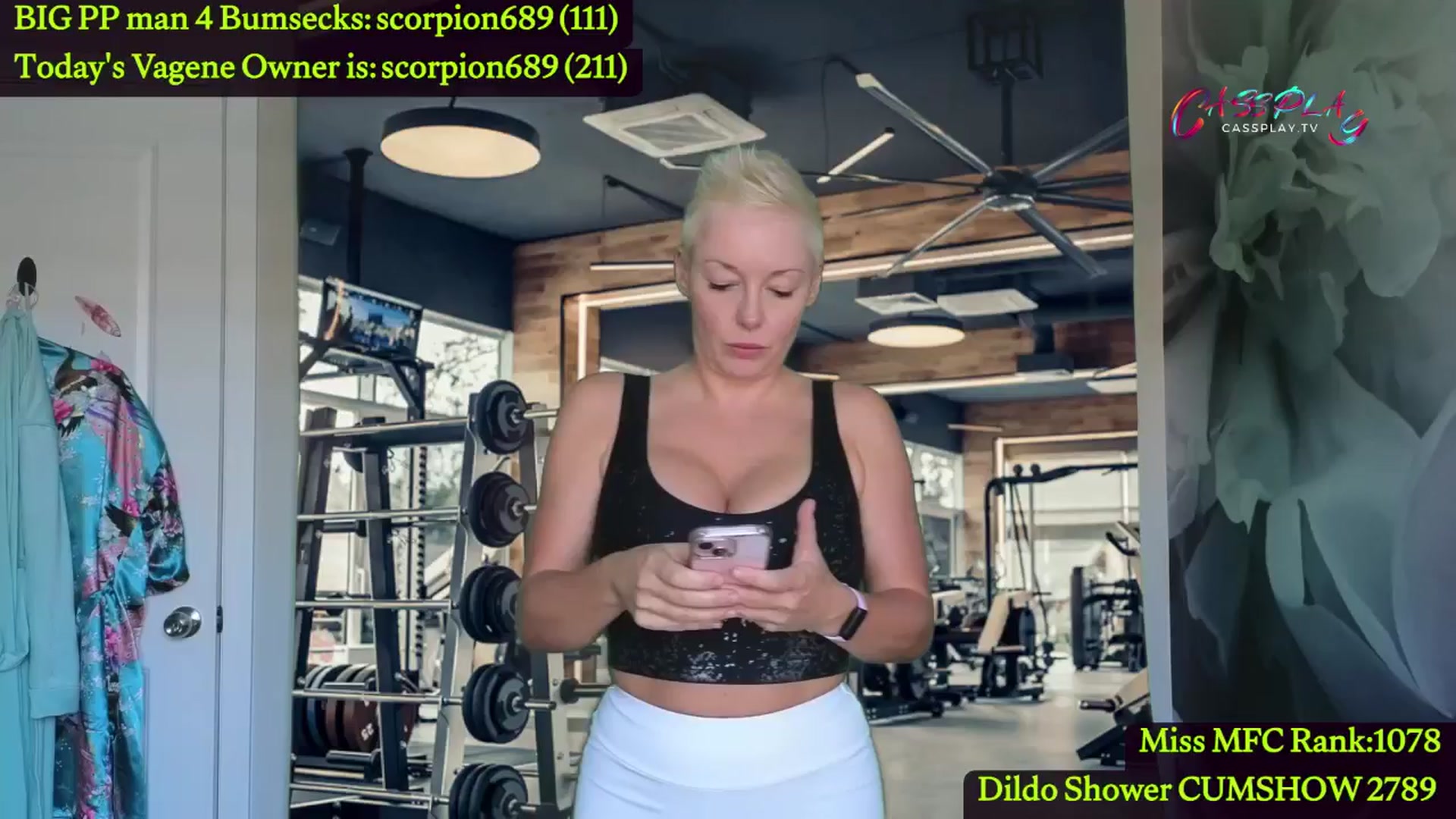 Gallery image thumbnail from Cassplay's myfreecams stream on, 06/12/2024, 16:03 image 6 of 20