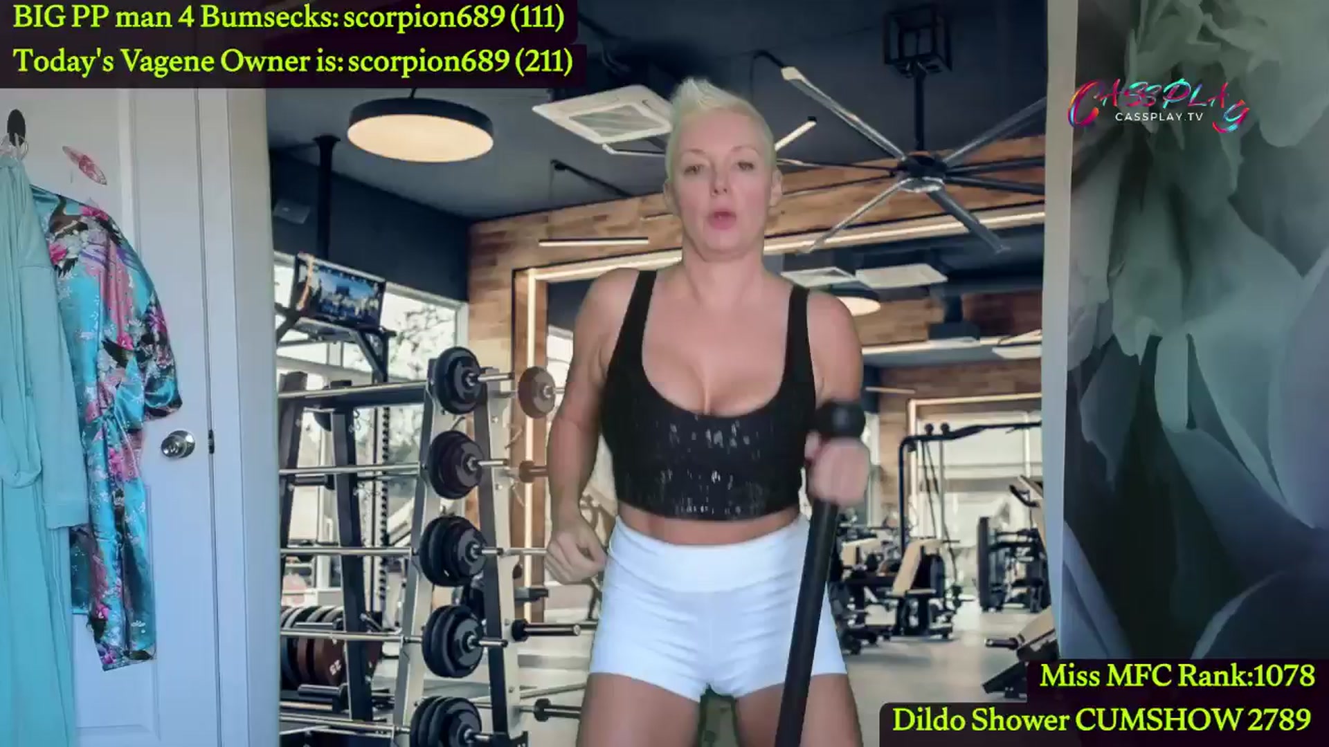 Gallery image thumbnail from Cassplay's myfreecams stream on, 06/12/2024, 16:03 image 8 of 20