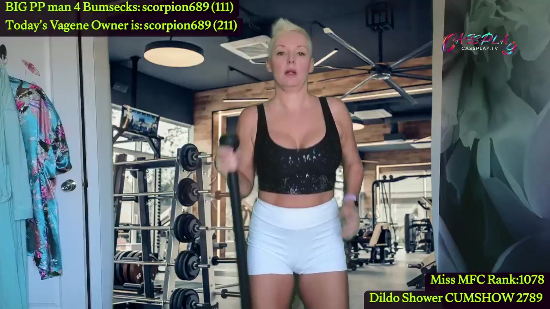 Gallery image thumbnail from Cassplay's myfreecams stream on, 06/12/2024, 16:03 image 14 of 20