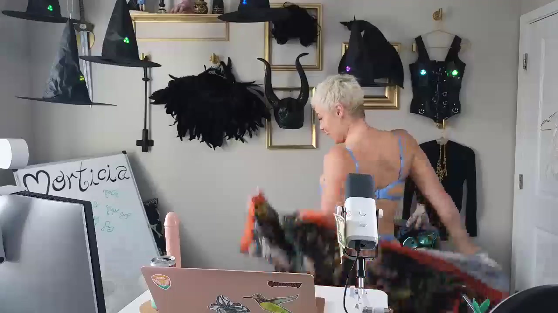 Gallery image thumbnail from Cassplay's myfreecams stream on, 08/27/2025, 22:01 image 19 of 20