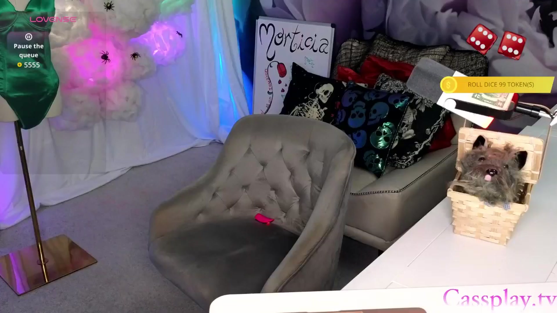 Gallery image thumbnail from Cassplay's myfreecams stream on, 09/24/2025, 23:03 image 13 of 20