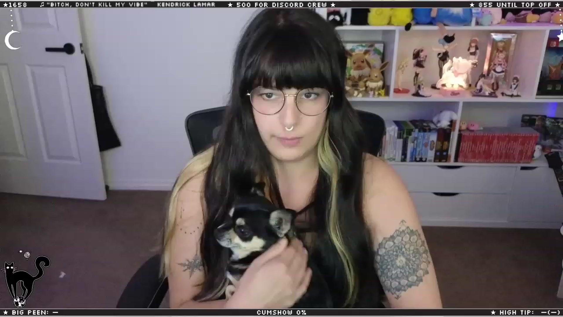 Gallery image thumbnail from Cat__'s myfreecams stream on, 02/07/2024, 11:10 image 12 of 20