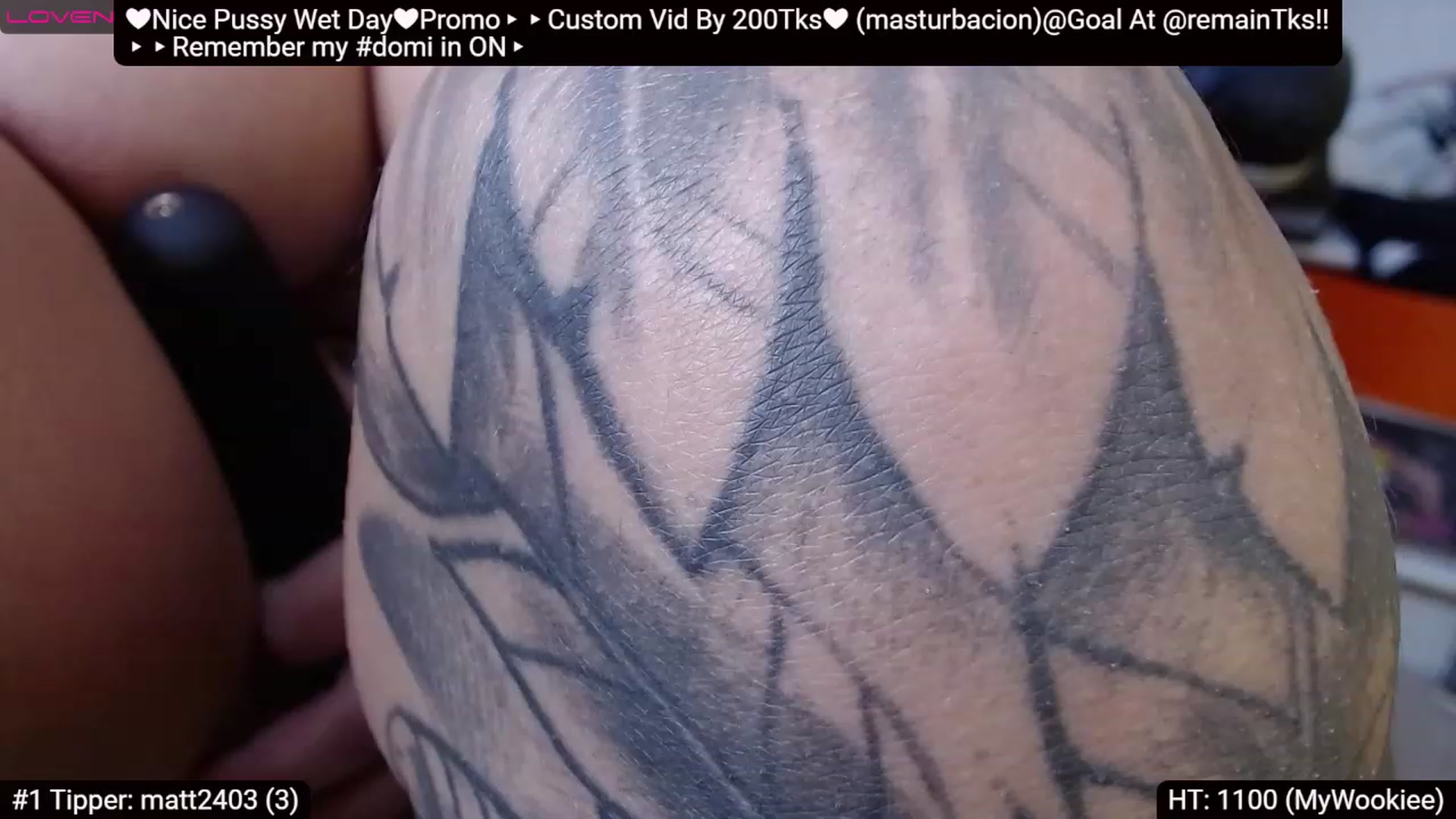 Gallery image thumbnail from Catabrown's myfreecams stream on, 11/27/2022, 12:02 image 15 of 20