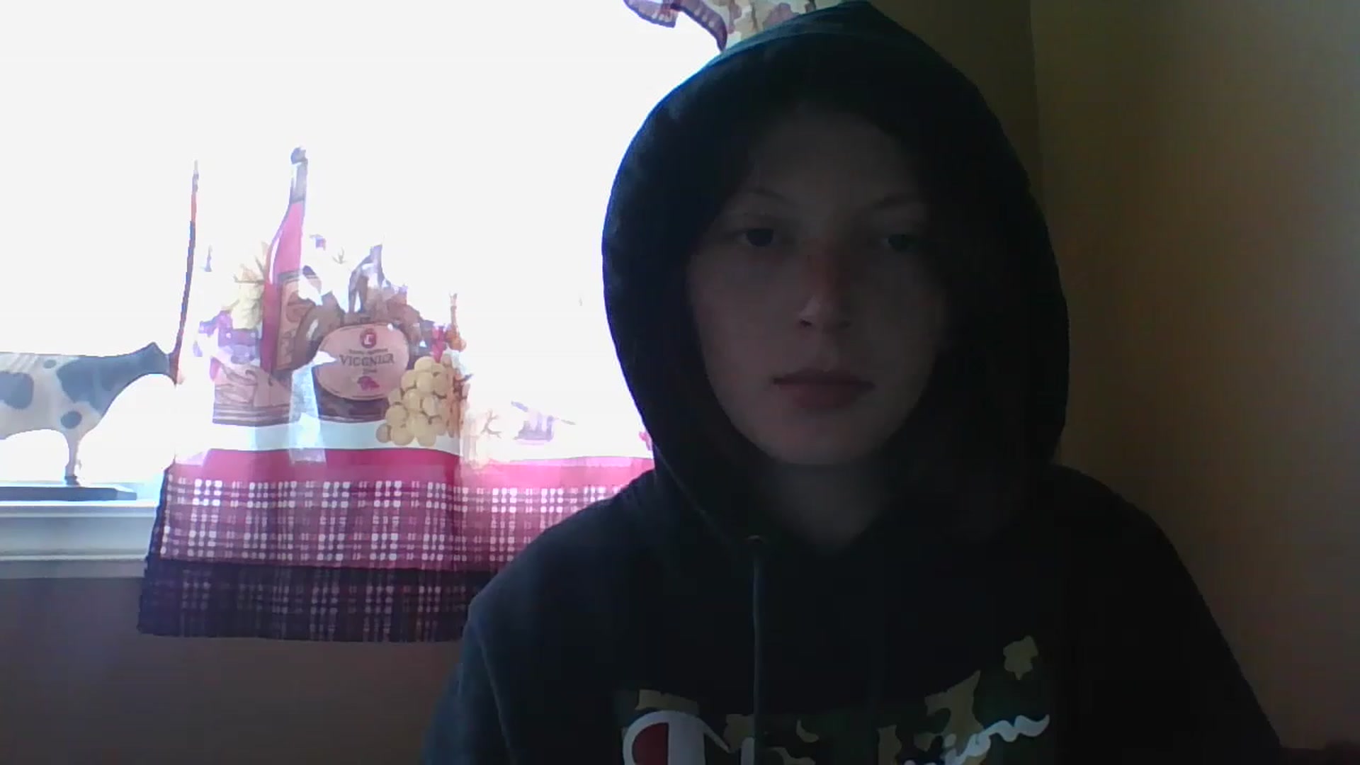 Gallery image thumbnail from Catchycoochie's myfreecams stream on, 11/16/2022, 19:17 image 7 of 20