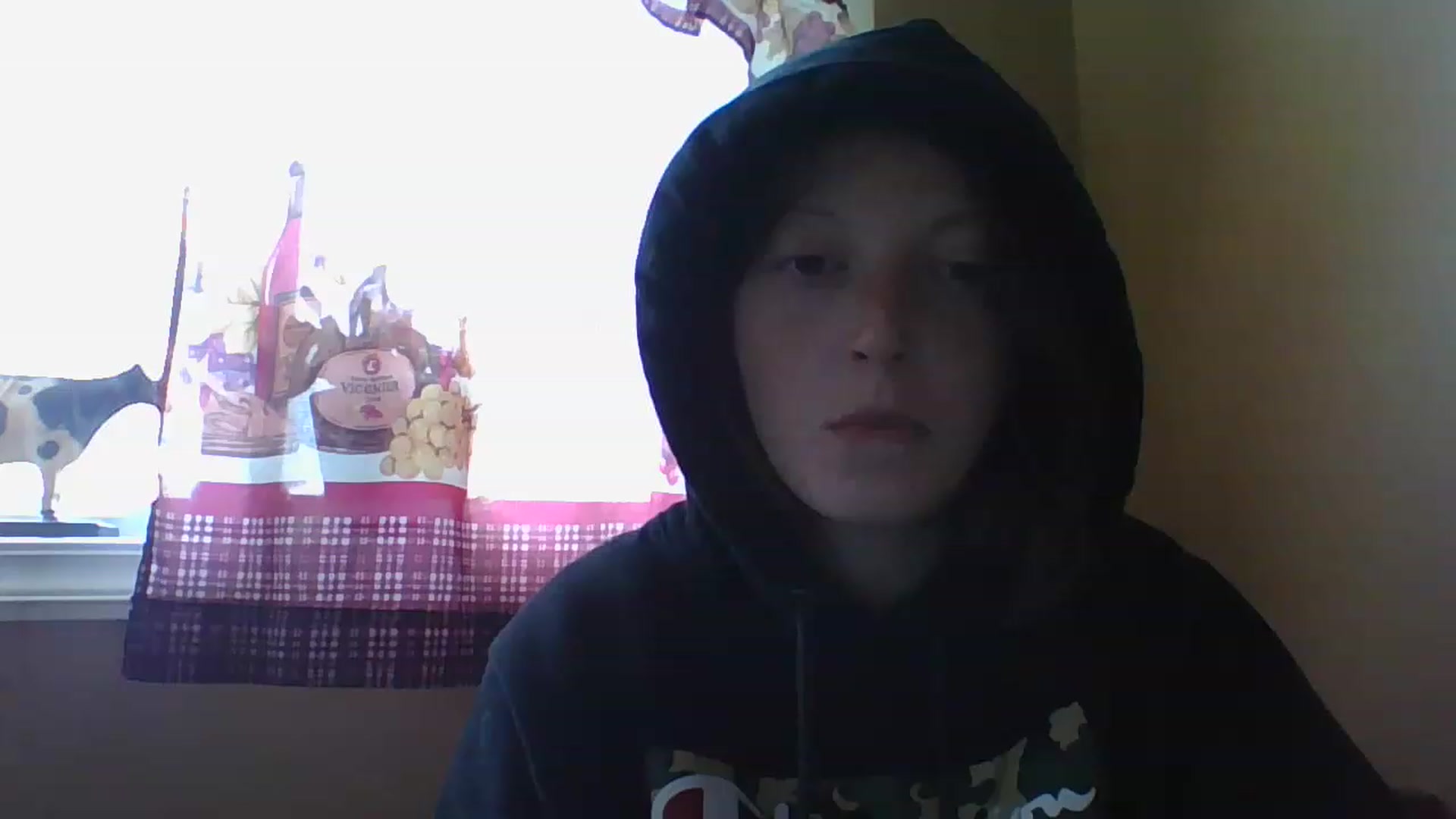 Gallery image thumbnail from Catchycoochie's myfreecams stream on, 11/16/2022, 19:17 image 14 of 20