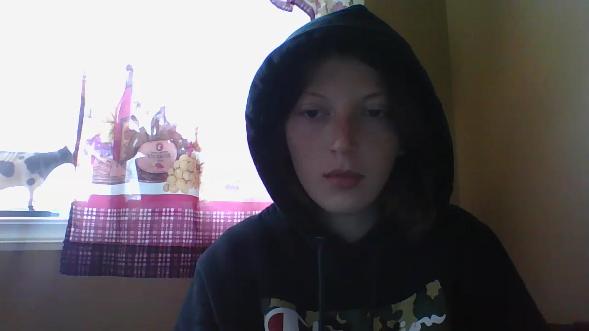 Gallery image thumbnail from Catchycoochie's myfreecams stream on, 11/16/2022, 19:17 image 9 of 20