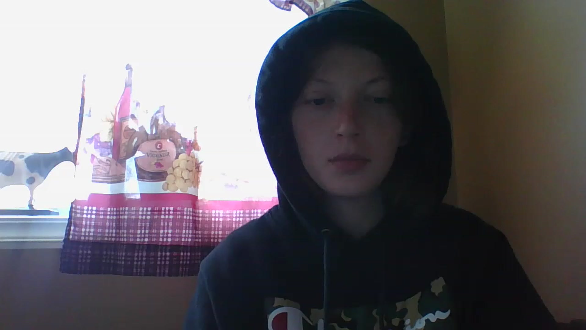 Gallery image thumbnail from Catchycoochie's myfreecams stream on, 11/16/2022, 19:17 image 1 of 20
