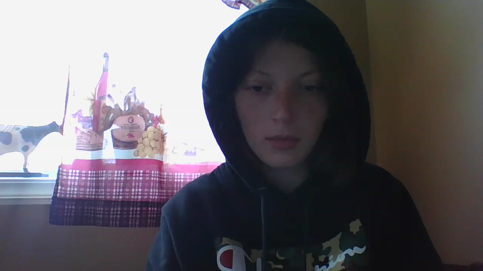 Gallery image thumbnail from Catchycoochie's myfreecams stream on, 11/16/2022, 19:17 image 6 of 20