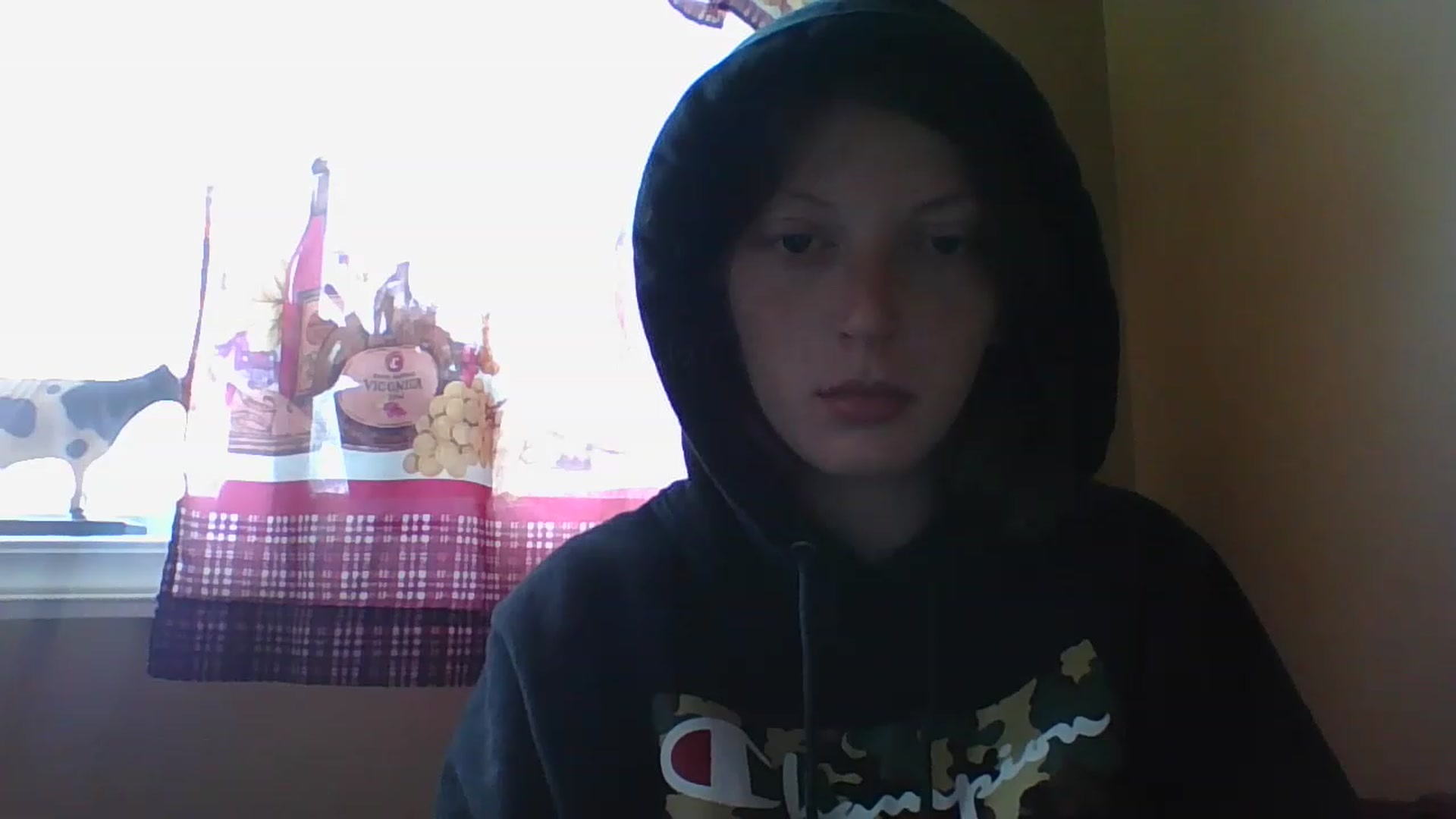 Gallery image thumbnail from Catchycoochie's myfreecams stream on, 11/16/2022, 19:17 image 5 of 20