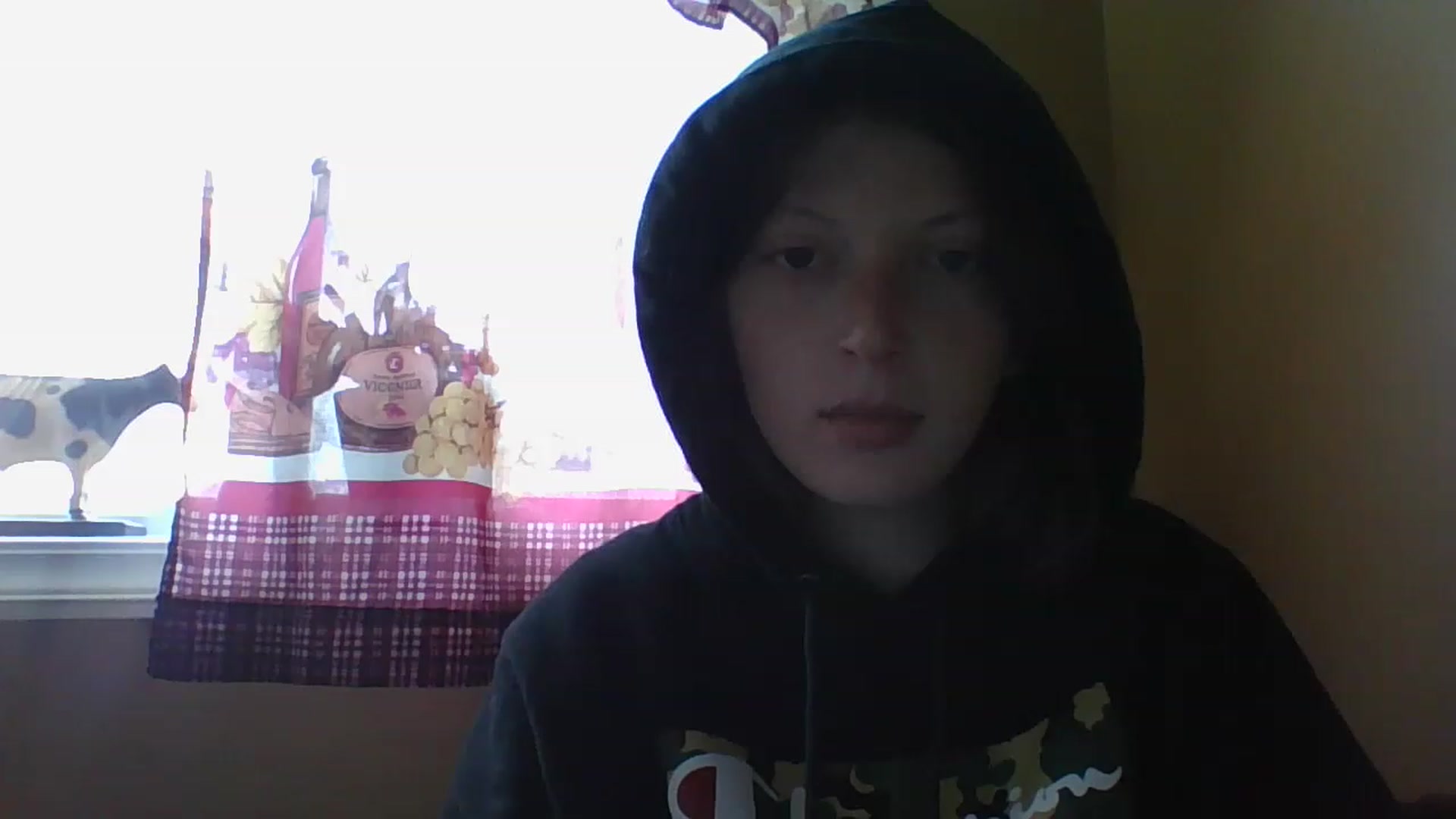 Gallery image thumbnail from Catchycoochie's myfreecams stream on, 11/16/2022, 19:17 image 8 of 20