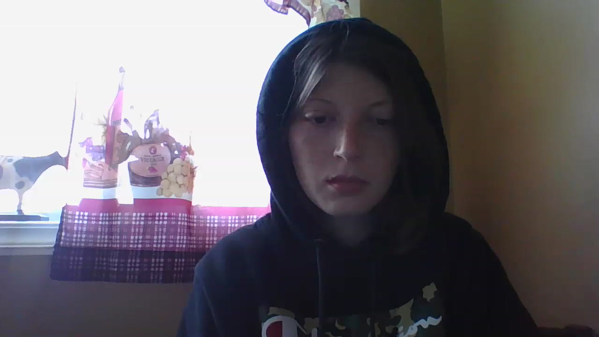 Gallery image thumbnail from Catchycoochie's myfreecams stream on, 11/16/2022, 19:17 image 16 of 20