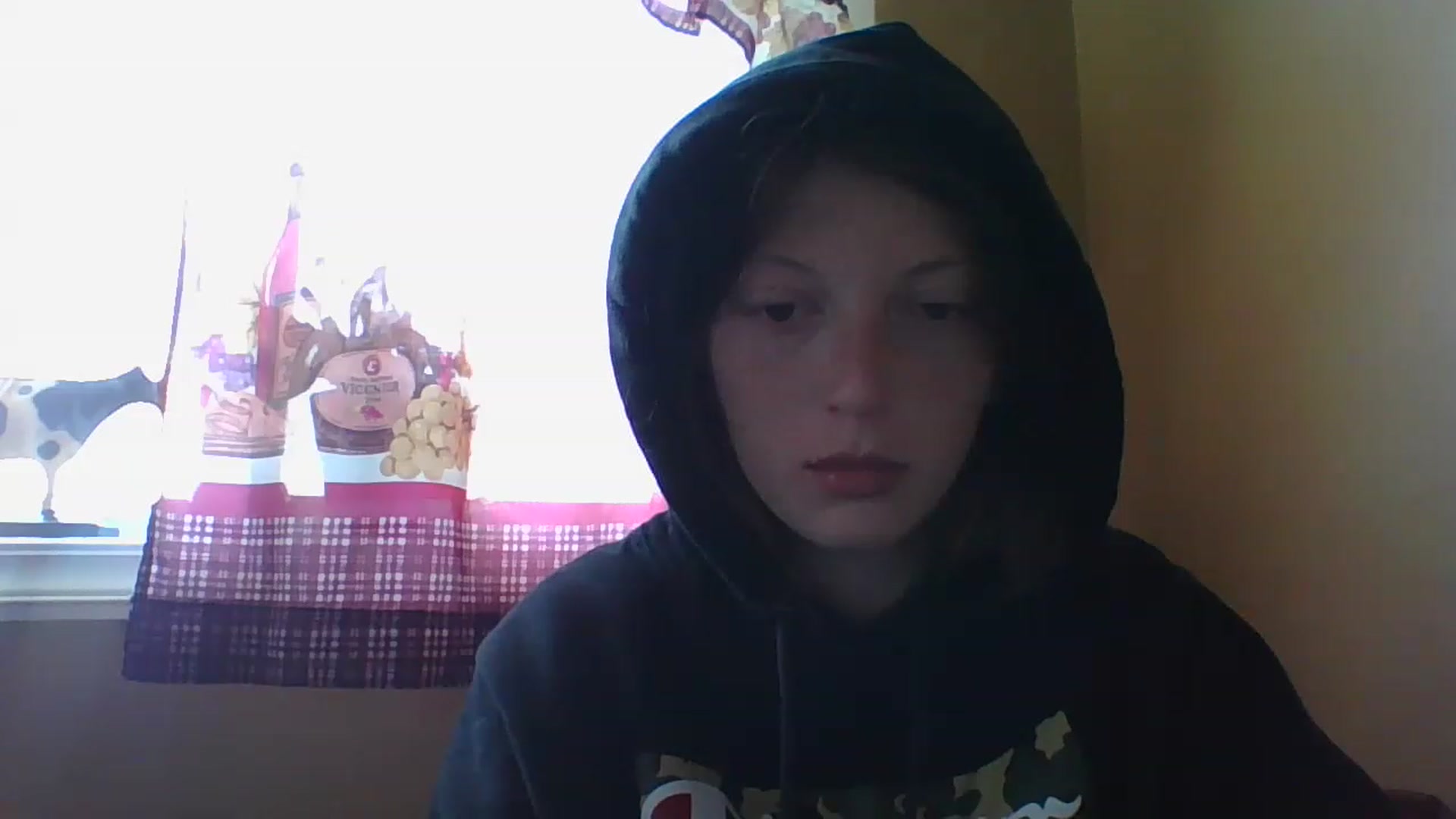 Gallery image thumbnail from Catchycoochie's myfreecams stream on, 11/16/2022, 19:17 image 19 of 20
