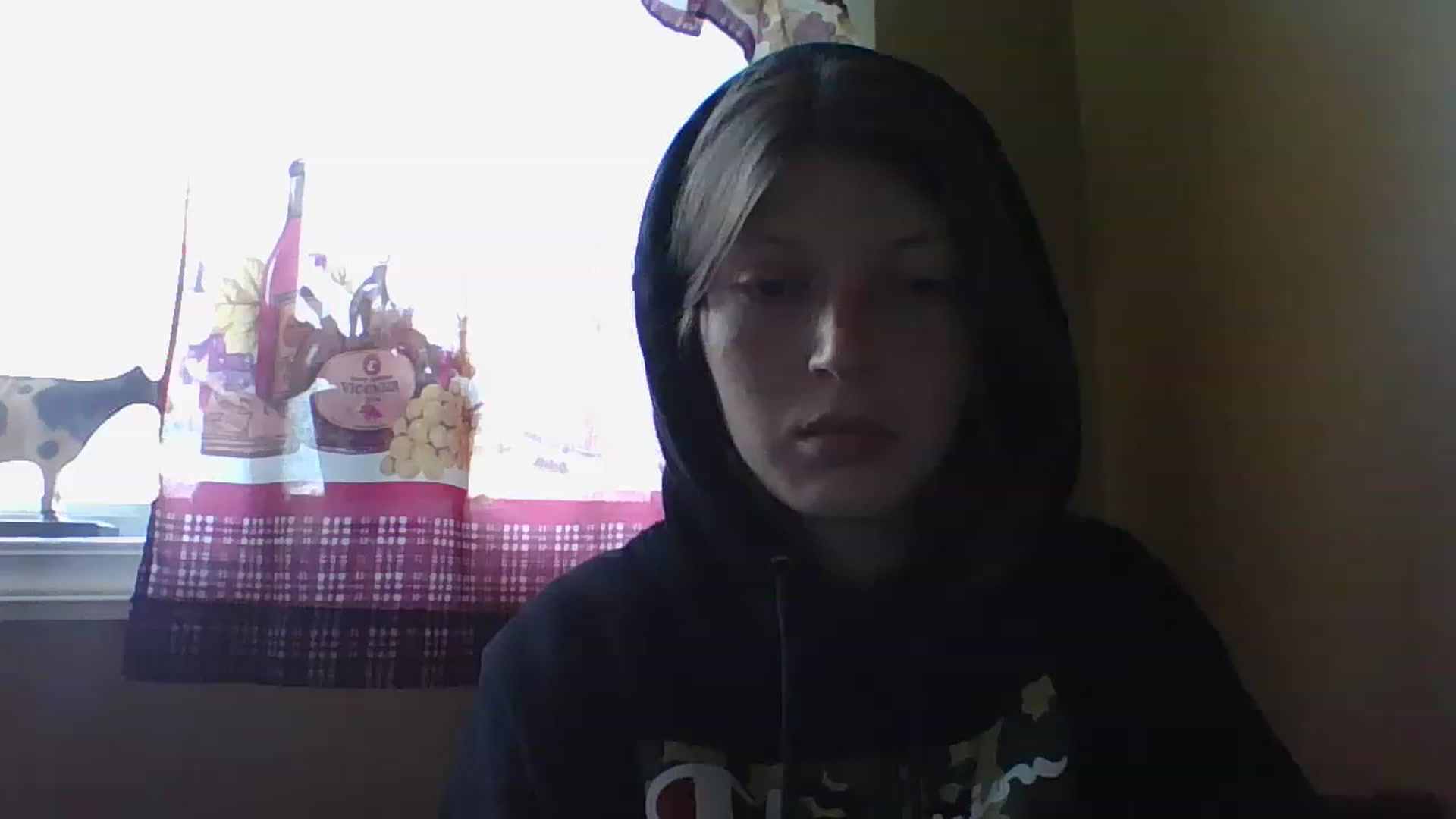 Gallery image thumbnail from Catchycoochie's myfreecams stream on, 11/16/2022, 19:17 image 15 of 20