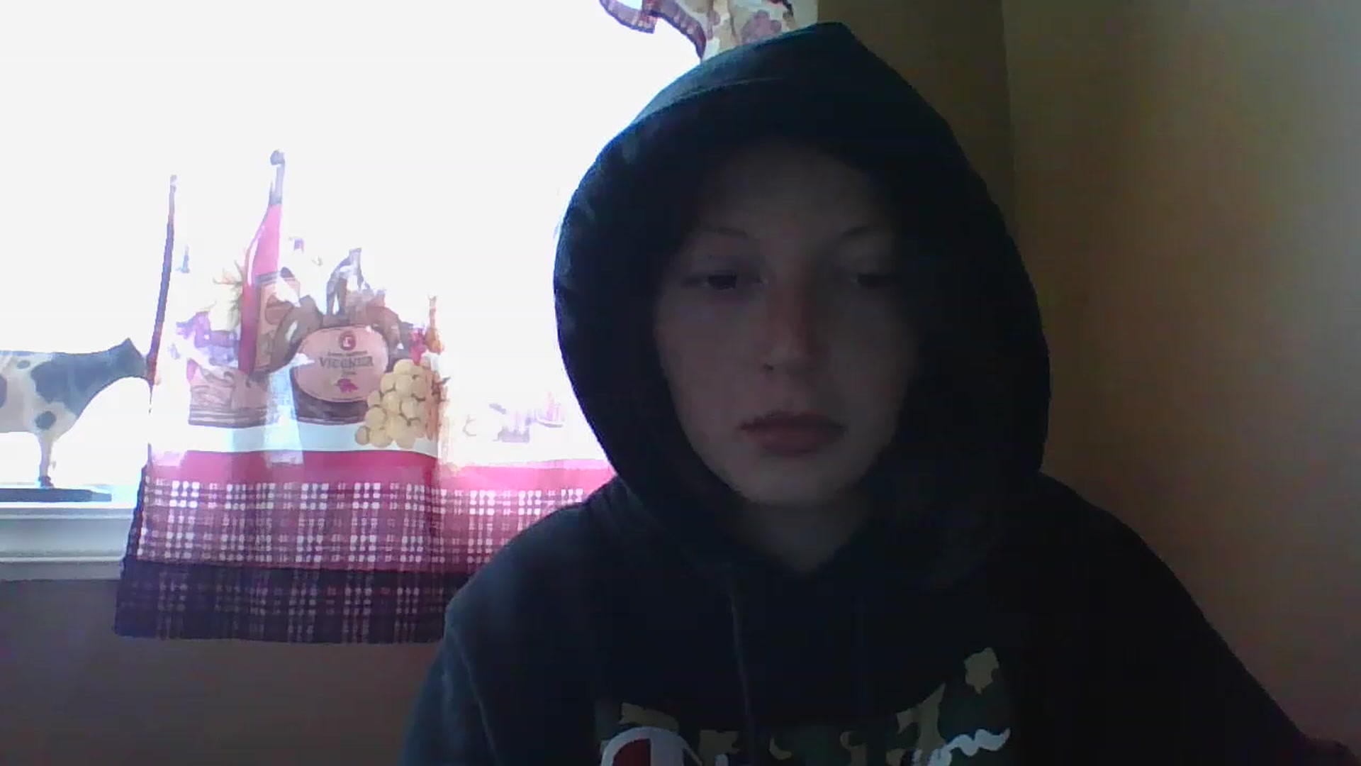 Gallery image thumbnail from Catchycoochie's myfreecams stream on, 11/16/2022, 19:17 image 12 of 20