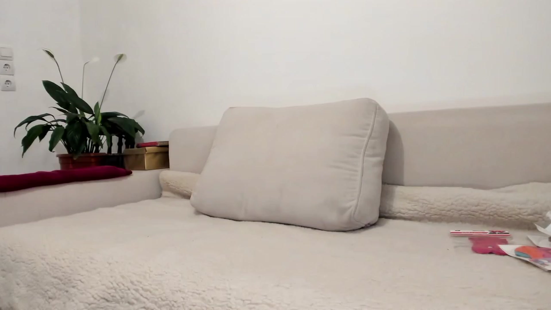 Gallery image thumbnail from Cayenne_mfc's myfreecams stream on, 08/06/2023, 20:34 image 14 of 20