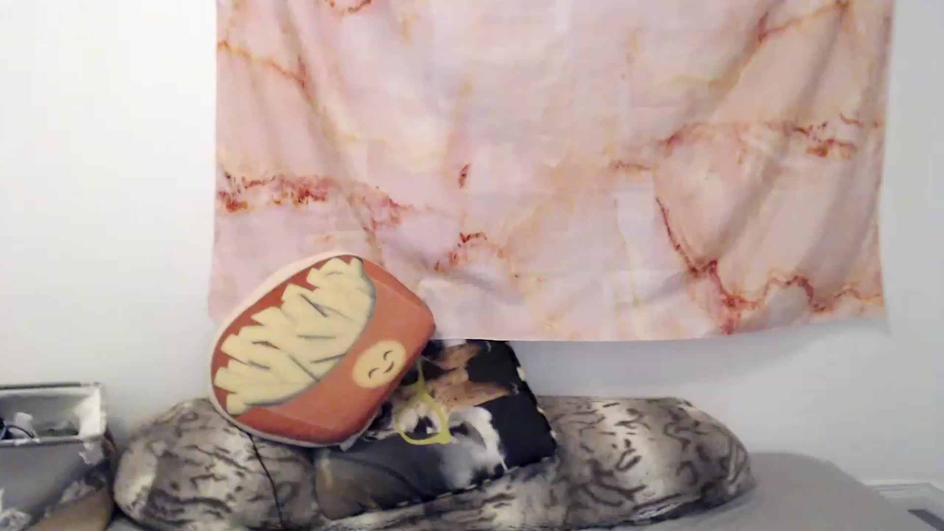 Gallery image thumbnail from Cbearrrr's myfreecams stream on, 06/28/2023, 08:46 image 14 of 20