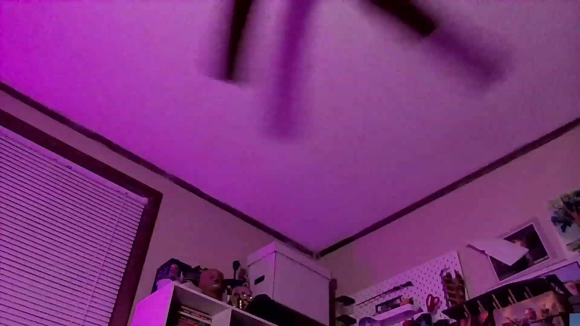 Gallery image thumbnail from CdrTroi's myfreecams stream on, 09/07/2023, 05:46 image 5 of 20