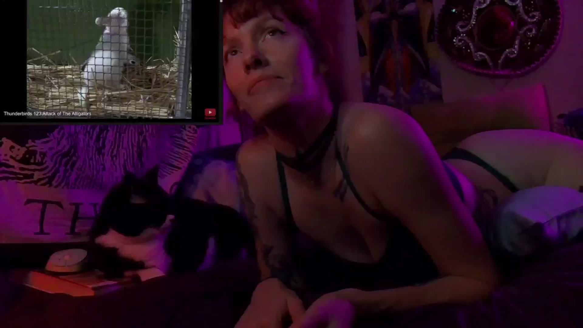 Gallery image thumbnail from CdrTroi's myfreecams stream on, 09/19/2024, 07:02 image 8 of 20