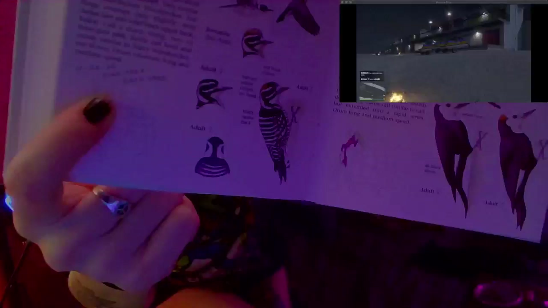 Gallery image thumbnail from CdrTroi's myfreecams stream on, 09/21/2024, 09:52 image 19 of 20