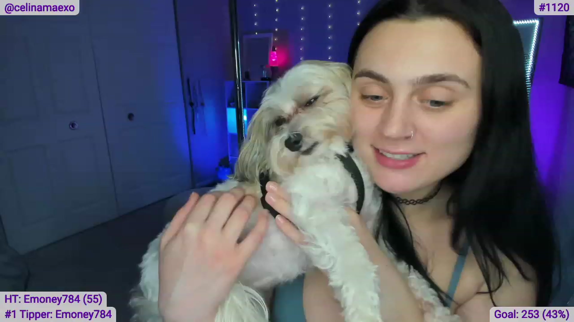 Gallery image thumbnail from Celinamaexo's myfreecams stream on, 01/17/2023, 03:36 image 8 of 20