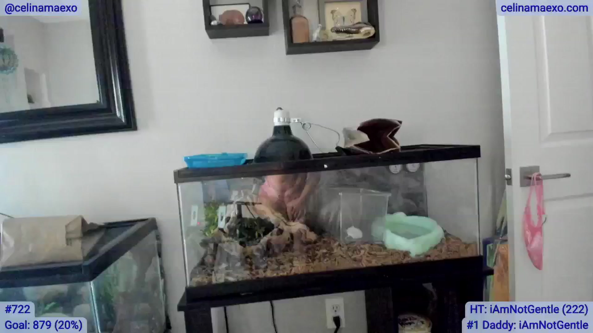Gallery image thumbnail from Celinamaexo's myfreecams stream on, 02/15/2025, 03:36 image 19 of 20