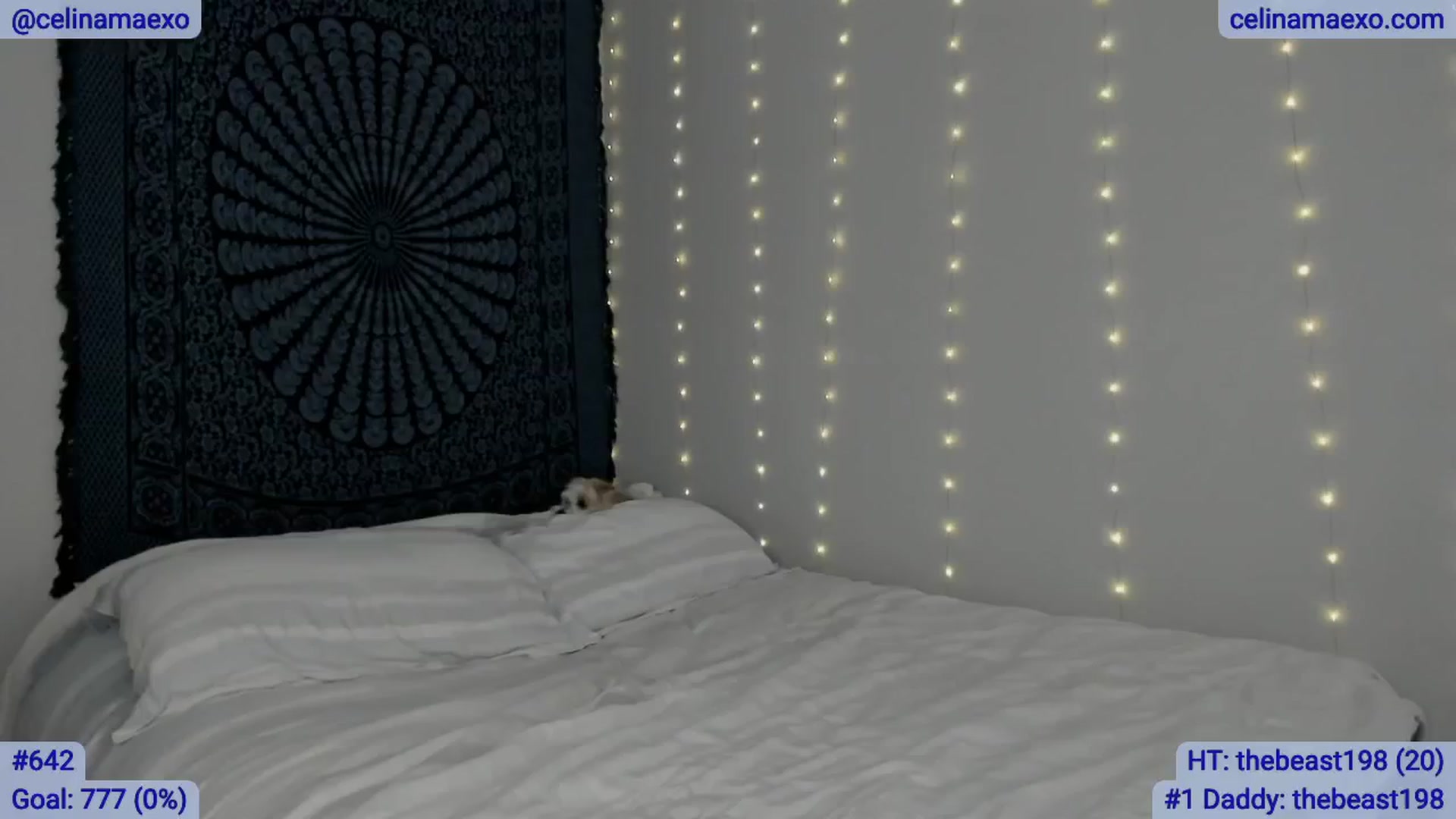 Gallery image thumbnail from Celinamaexo's myfreecams stream on, 02/20/2025, 24:44 image 1 of 20