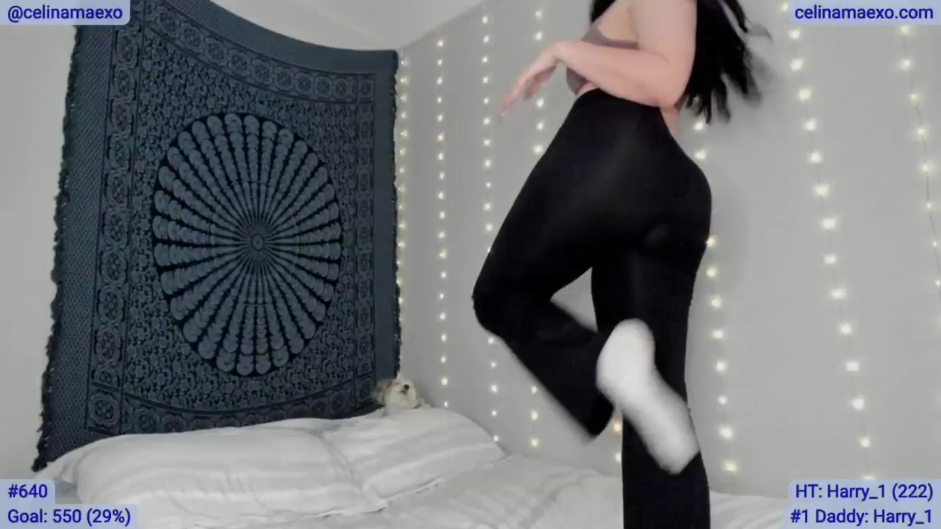 Gallery image thumbnail from Celinamaexo's myfreecams stream on, 02/20/2025, 24:44 image 2 of 20