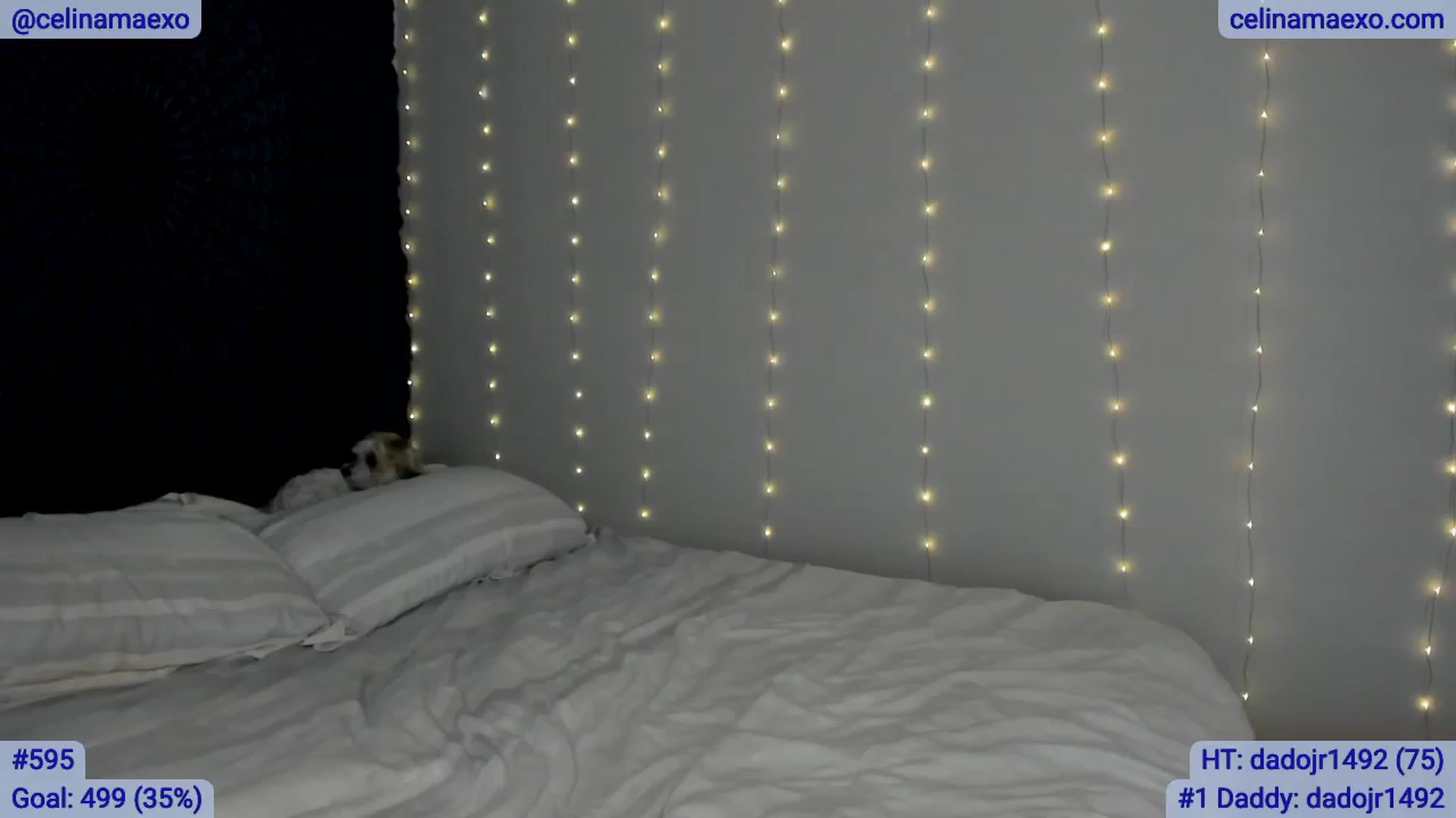 Gallery image thumbnail from Celinamaexo's myfreecams stream on, 02/21/2025, 05:06 image 13 of 20