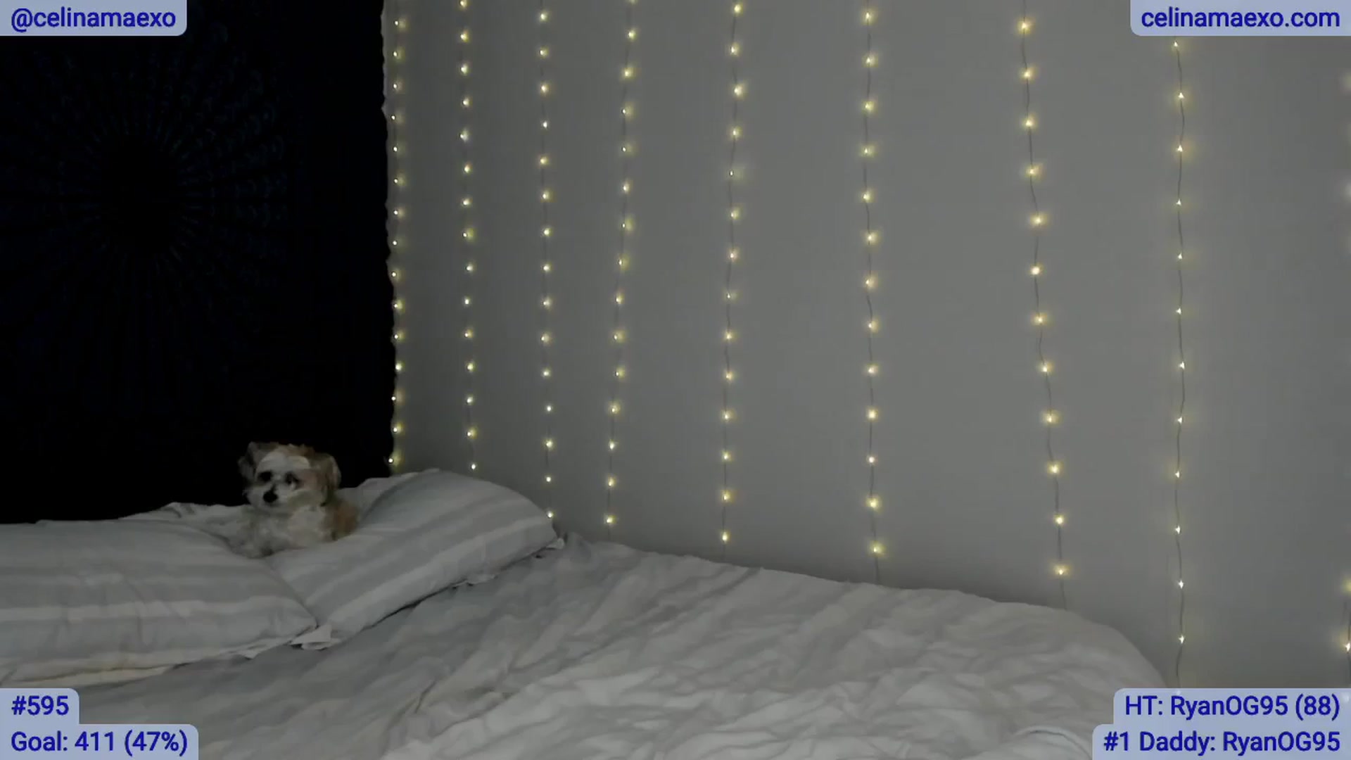 Gallery image thumbnail from Celinamaexo's myfreecams stream on, 02/21/2025, 05:06 image 18 of 20