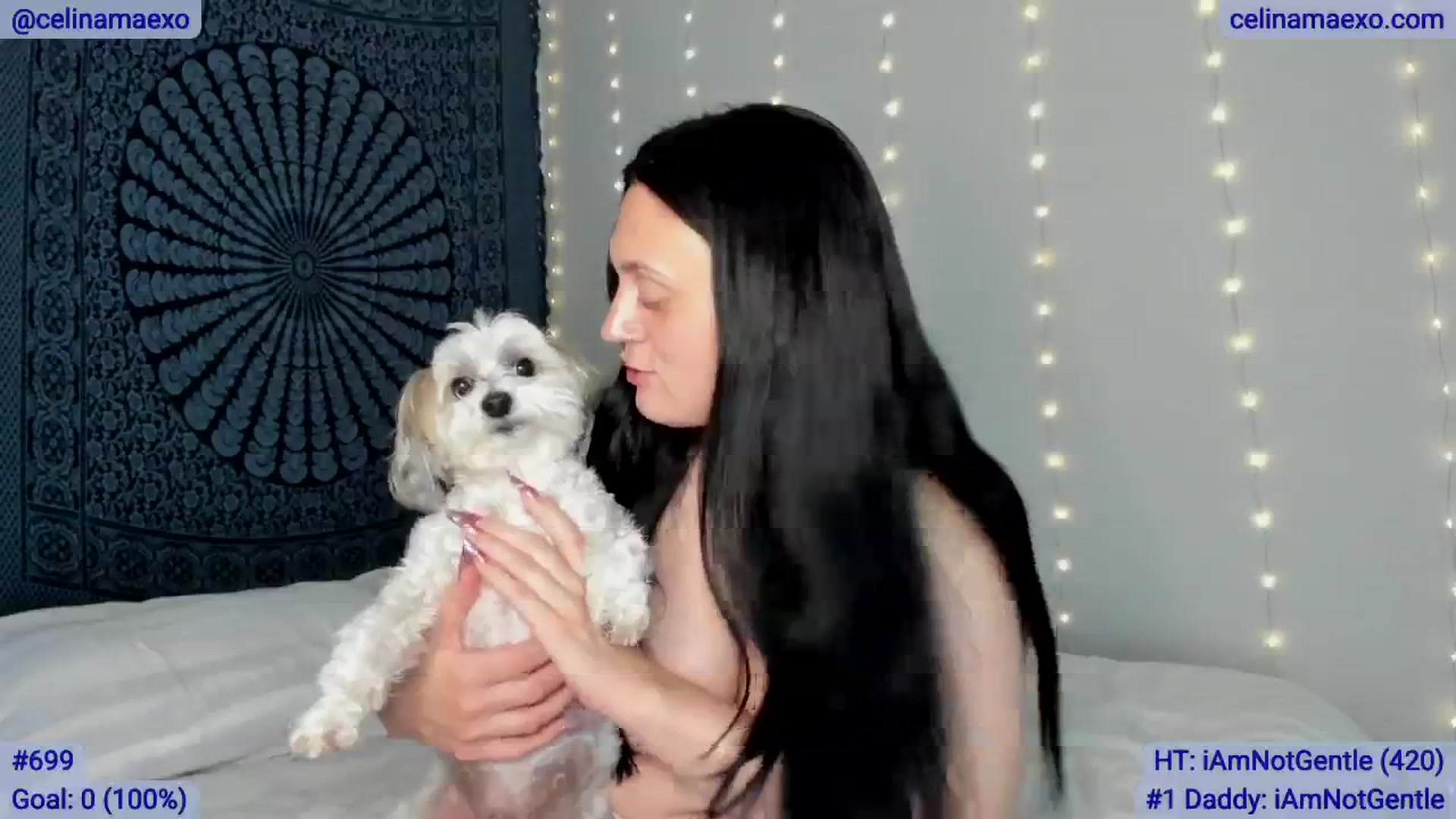 Gallery image thumbnail from Celinamaexo's myfreecams stream on, 02/25/2025, 04:46 image 8 of 20