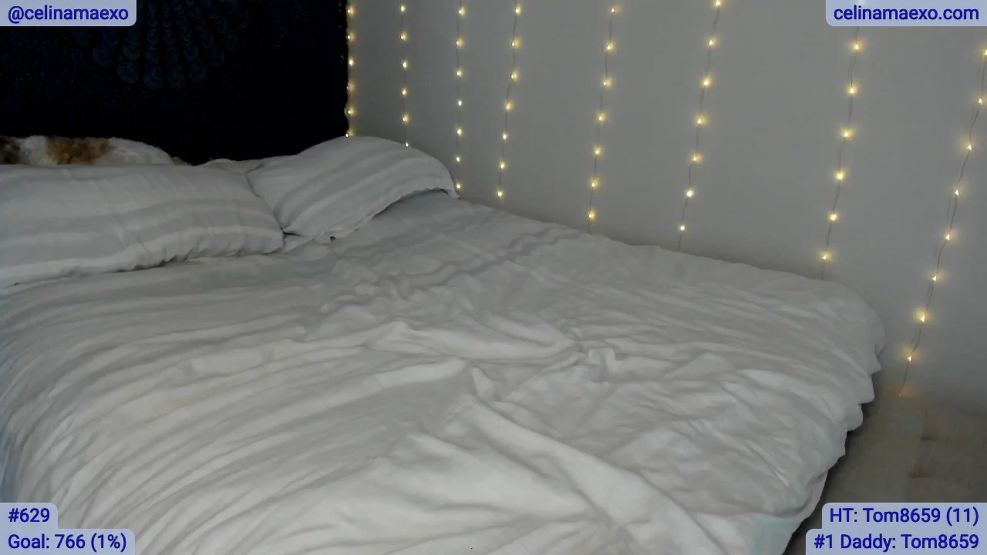 Gallery image thumbnail from Celinamaexo's myfreecams stream on, 02/27/2025, 03:31 image 8 of 20