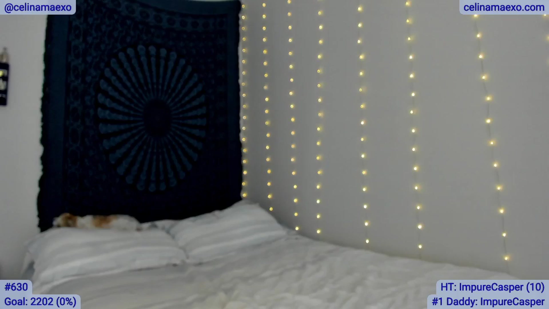 Gallery image thumbnail from Celinamaexo's myfreecams stream on, 02/27/2025, 17:03 image 18 of 20