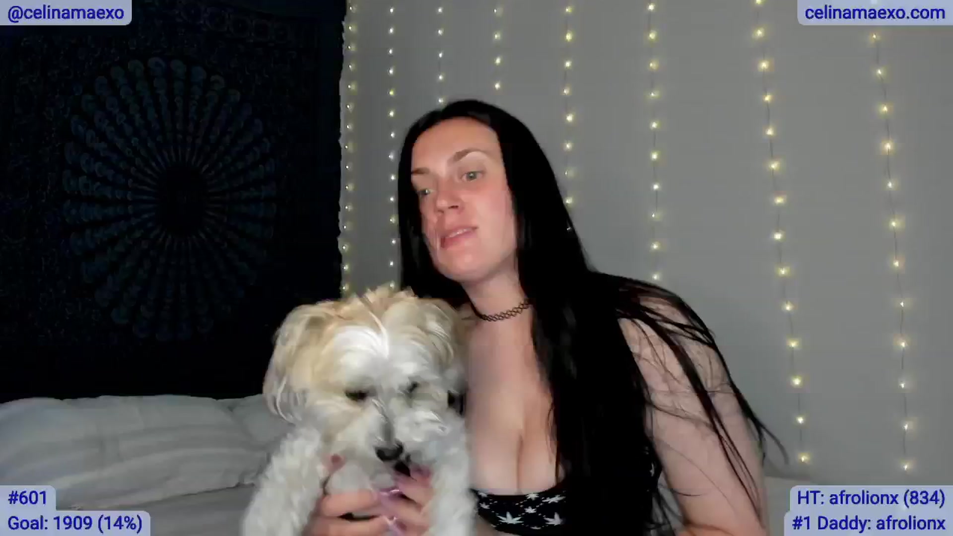 Gallery image thumbnail from Celinamaexo's myfreecams stream on, 02/28/2025, 02:32 image 2 of 20
