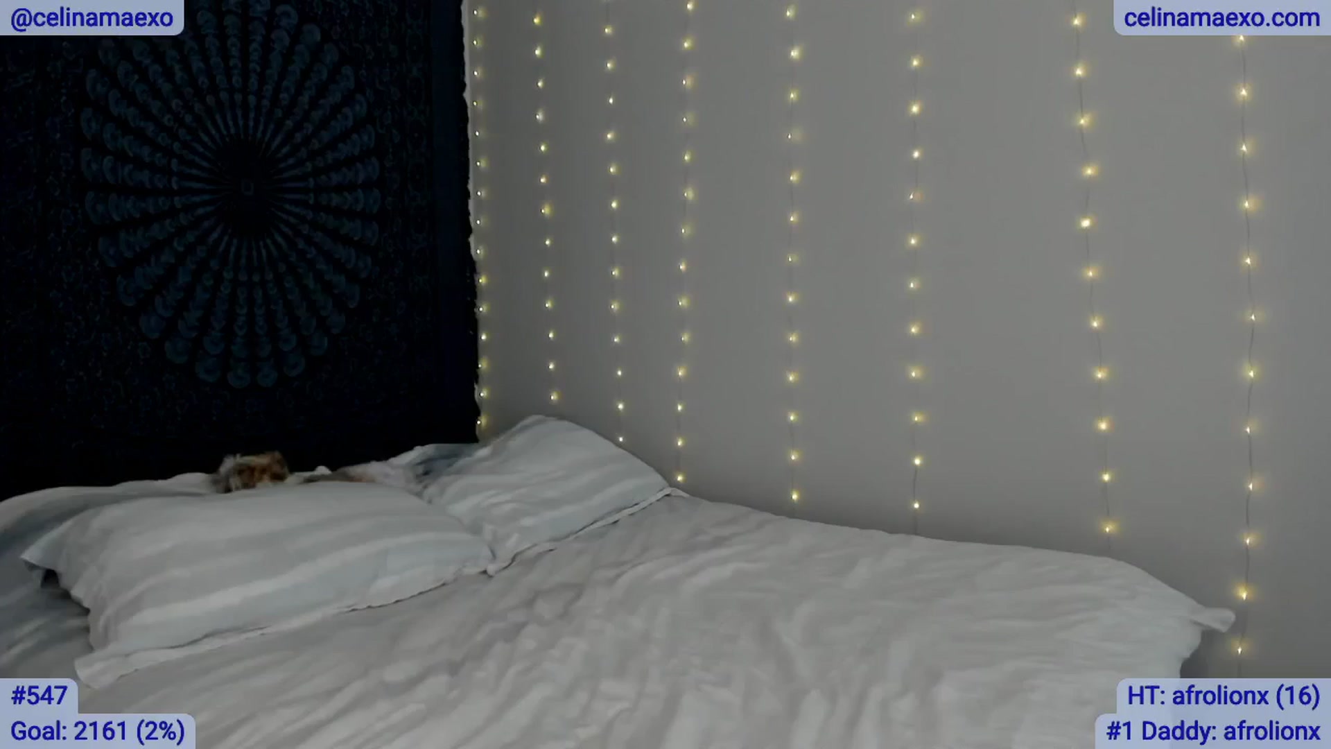 Gallery image thumbnail from Celinamaexo's myfreecams stream on, 02/28/2025, 19:32 image 3 of 20