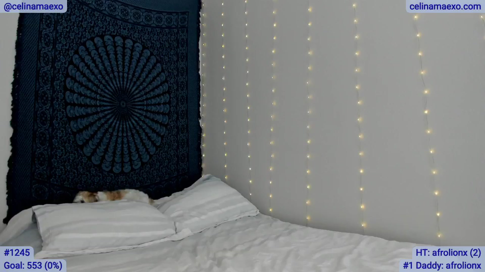Gallery image thumbnail from Celinamaexo's myfreecams stream on, 03/04/2025, 18:00 image 1 of 20