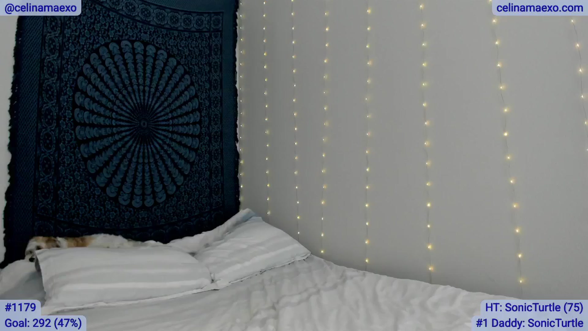 Gallery image thumbnail from Celinamaexo's myfreecams stream on, 03/04/2025, 18:43 image 18 of 20