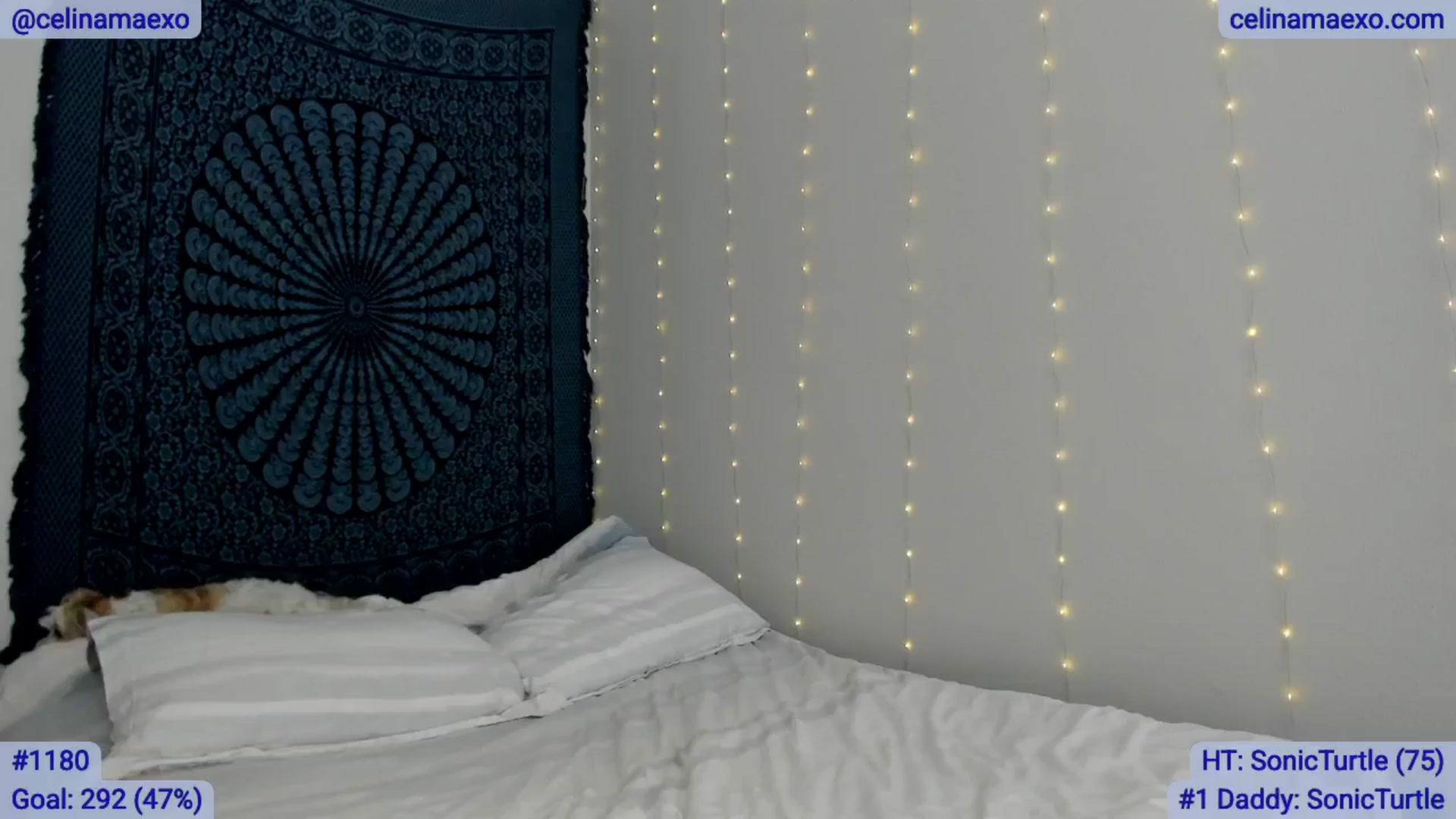 Gallery image thumbnail from Celinamaexo's myfreecams stream on, 03/04/2025, 18:43 image 19 of 20