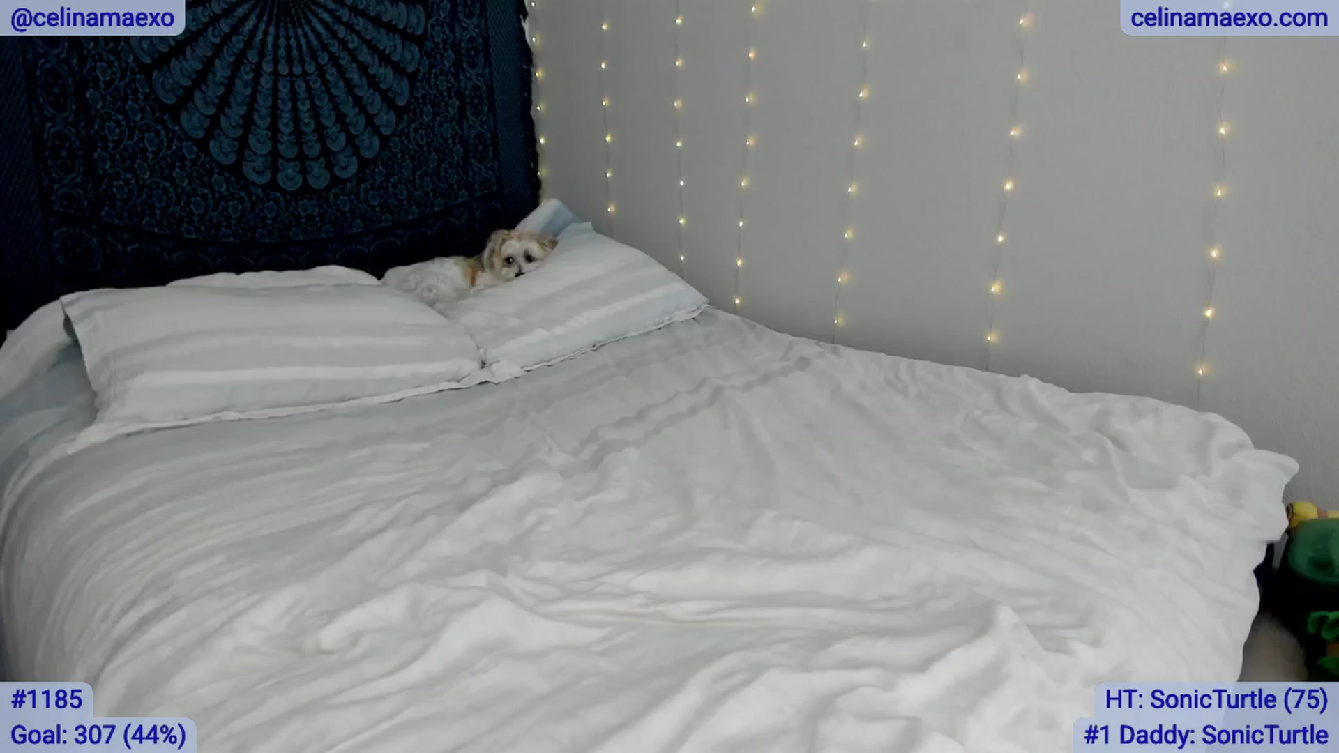 Gallery image thumbnail from Celinamaexo's myfreecams stream on, 03/04/2025, 18:43 image 4 of 20