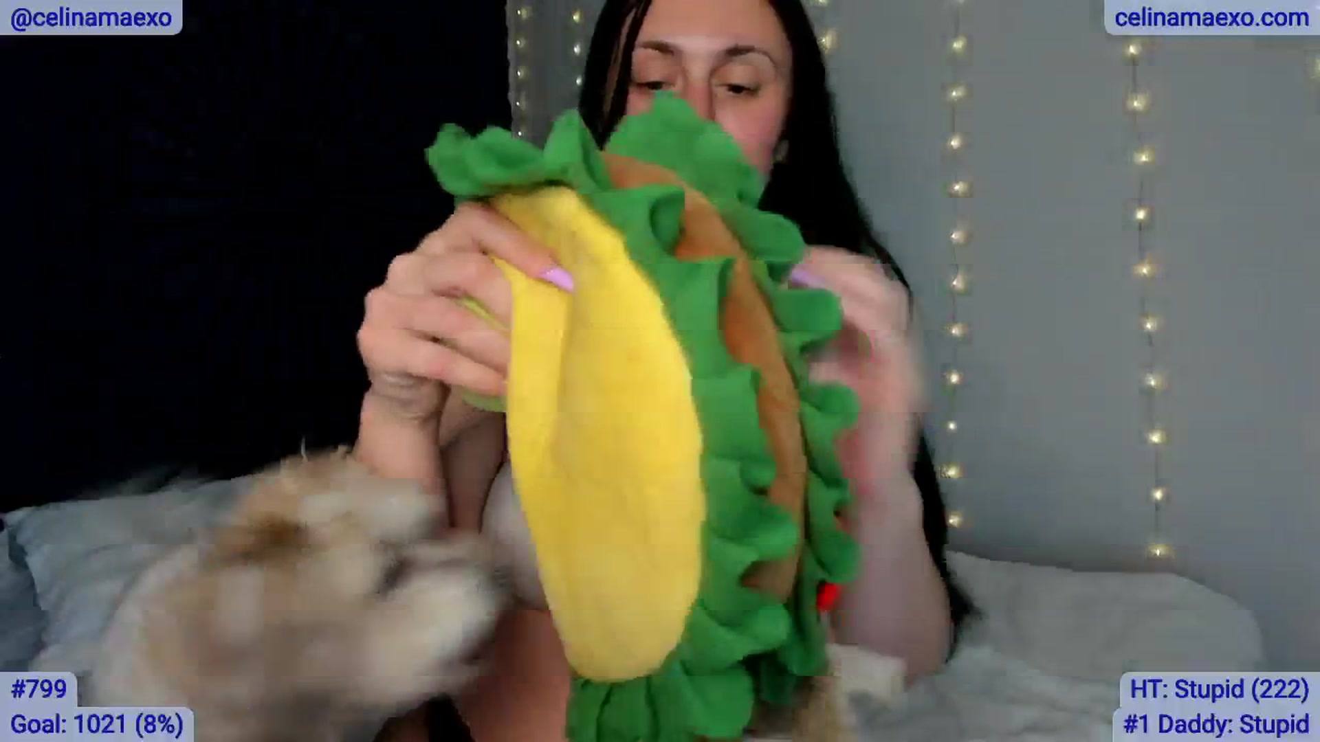 Gallery image thumbnail from Celinamaexo's myfreecams stream on, 03/05/2025, 05:49 image 10 of 20
